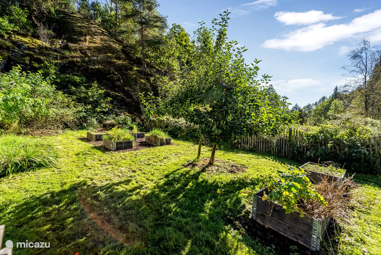 Jardin