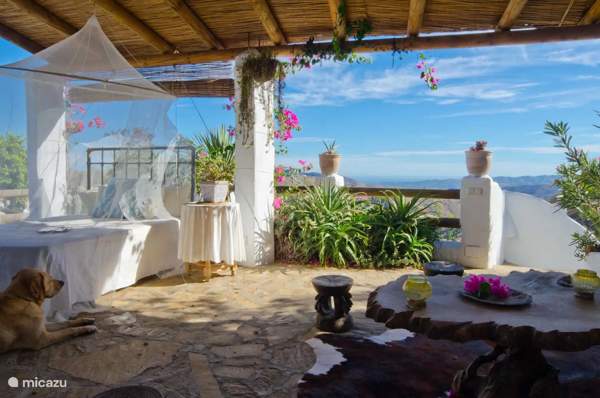 Terrasse d’observation ombragée