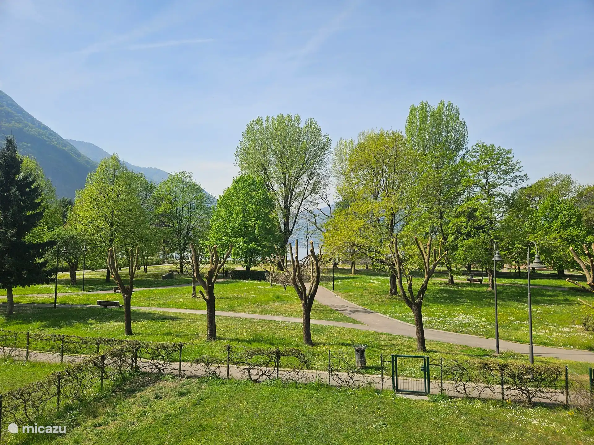 View from the terrace.
