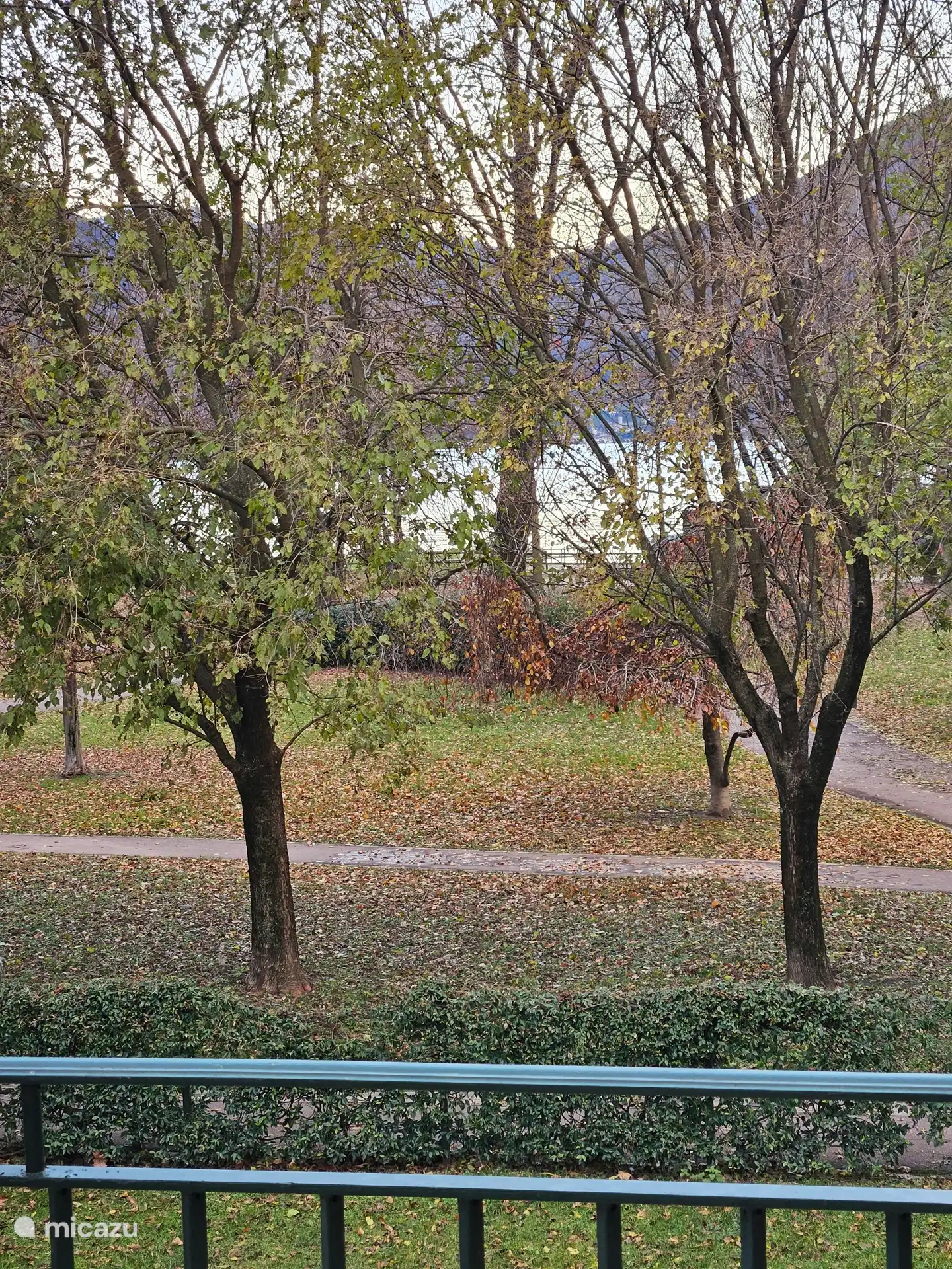 View of the park and Lake Lugano from the terrace.