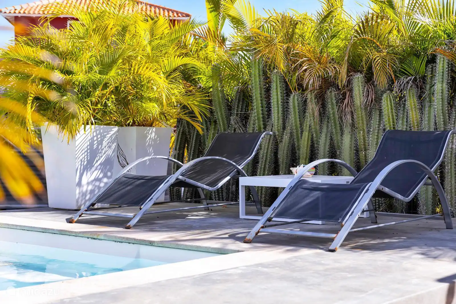 Des transats au bord de la piscine