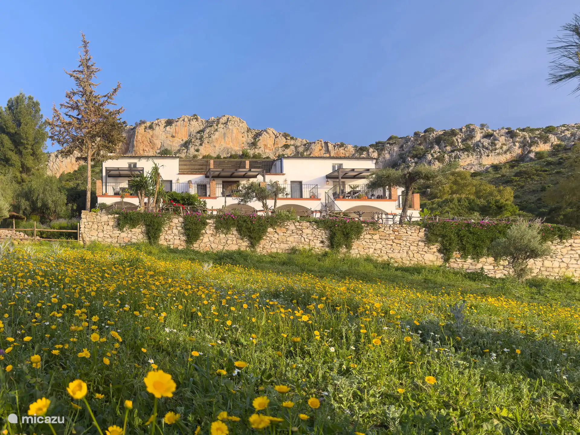 Finca El Arpa