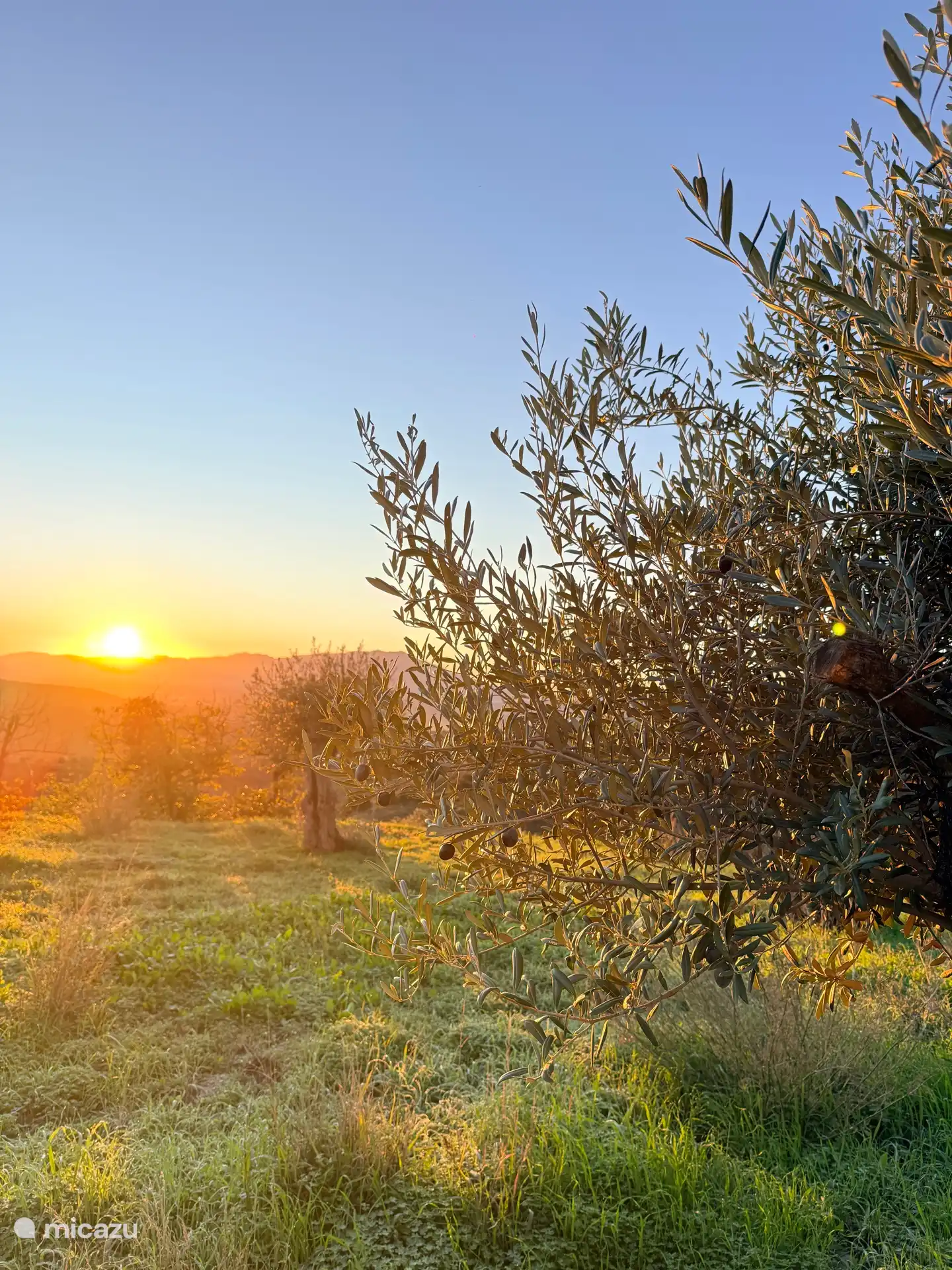 Zonsopkomst boven de heuvels van Andalusië.