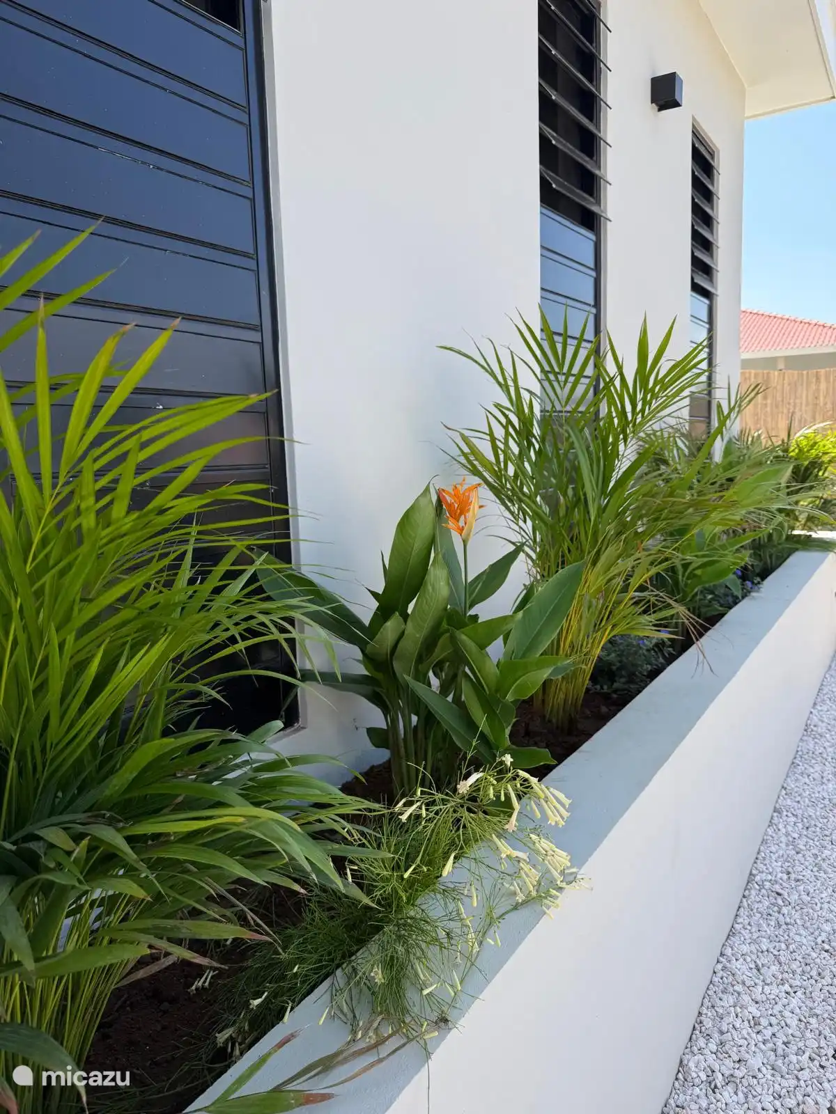Tropische beplanting rondom de villa zorgt voor steeds meer groen en privacy.