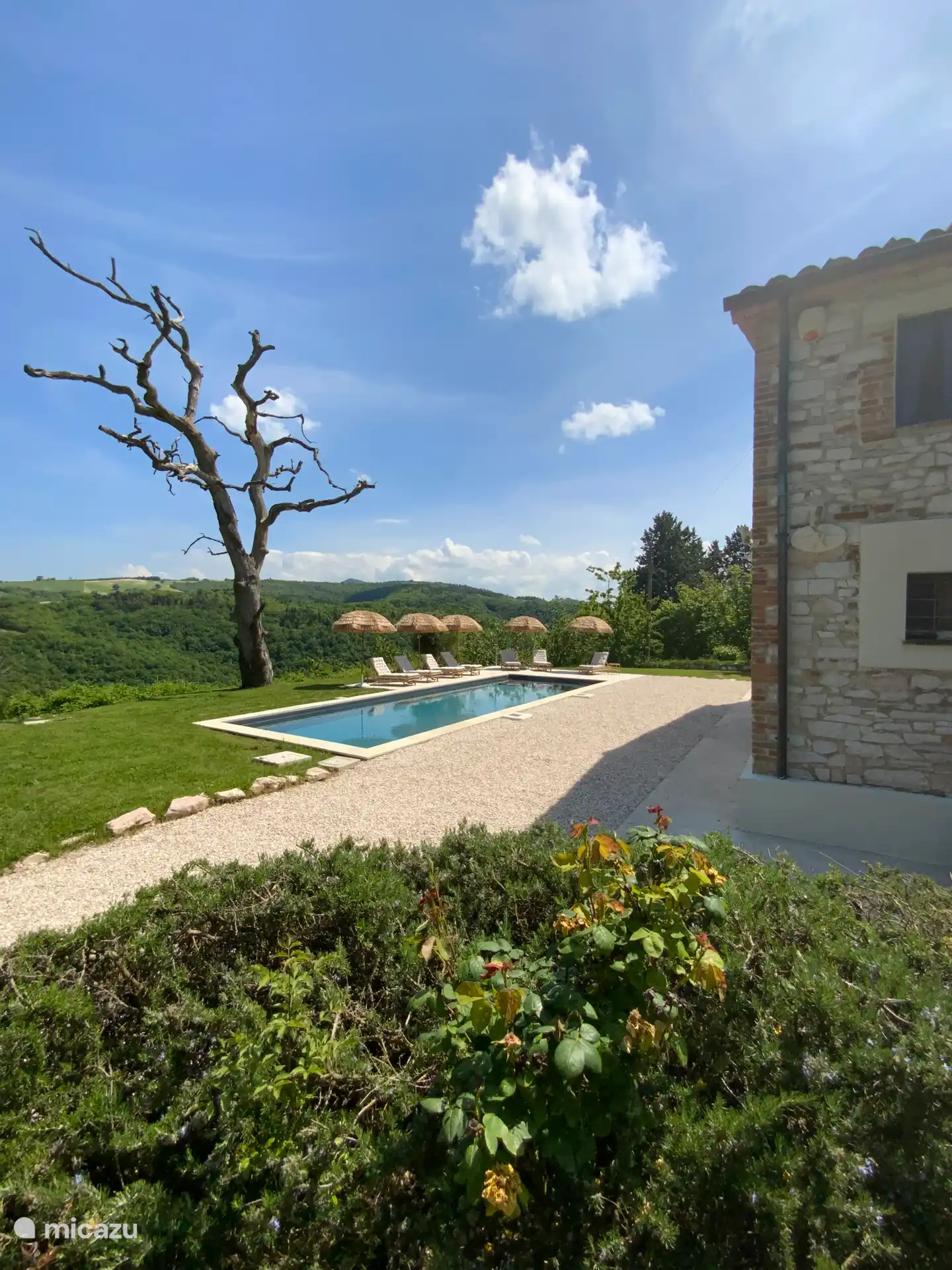Piscine/jardin
