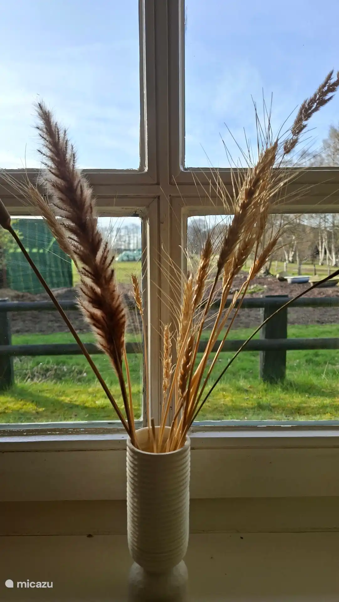 Uitzicht keuken
