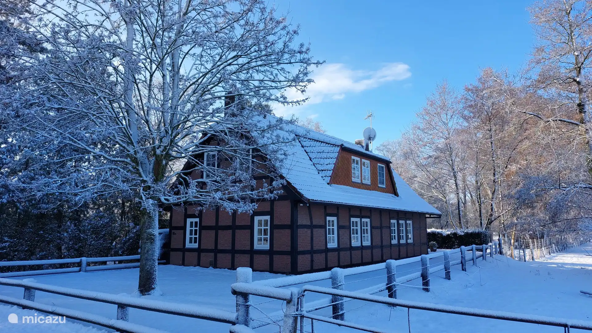 Winter Wonderland