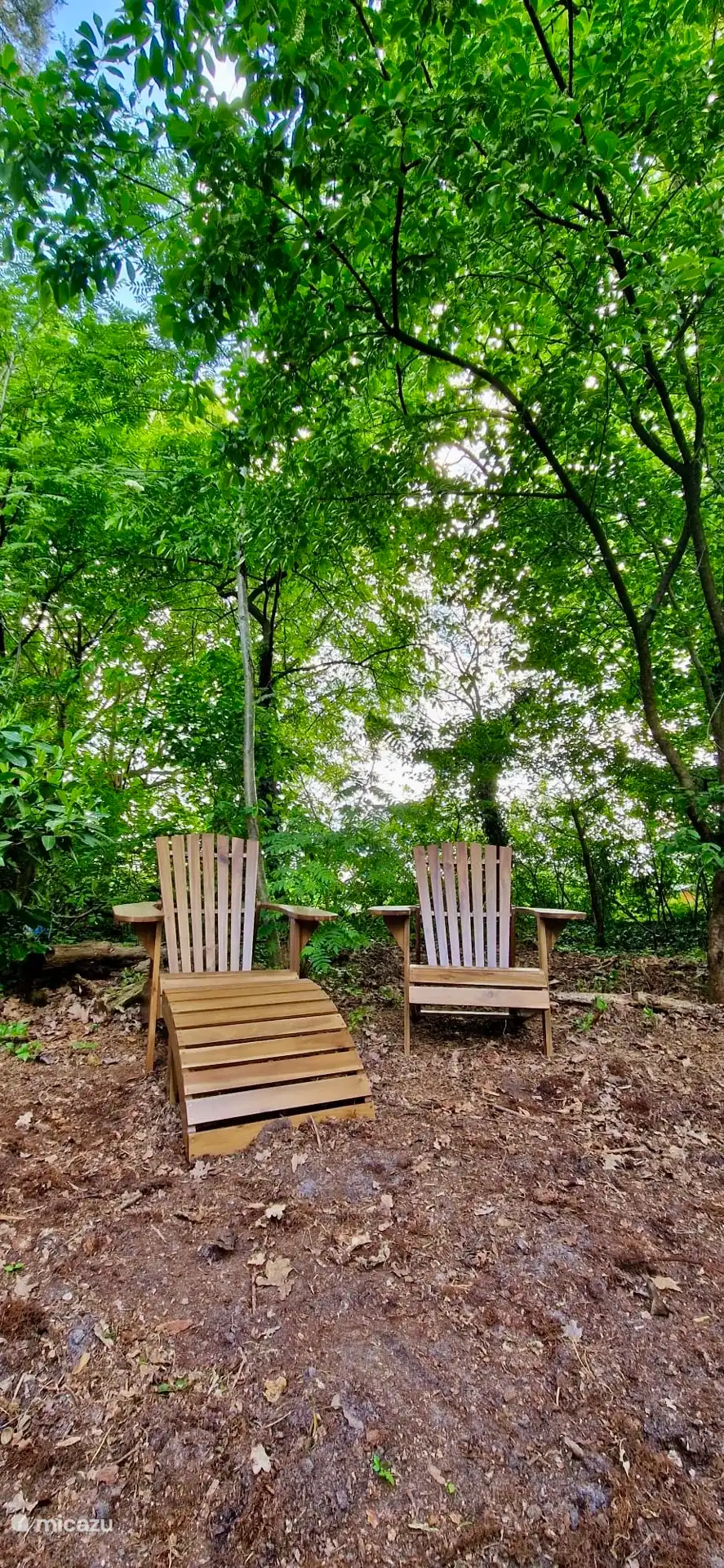 Einer der Sitzplätze im Garten, mitten im grünen Naturbewuchs. 