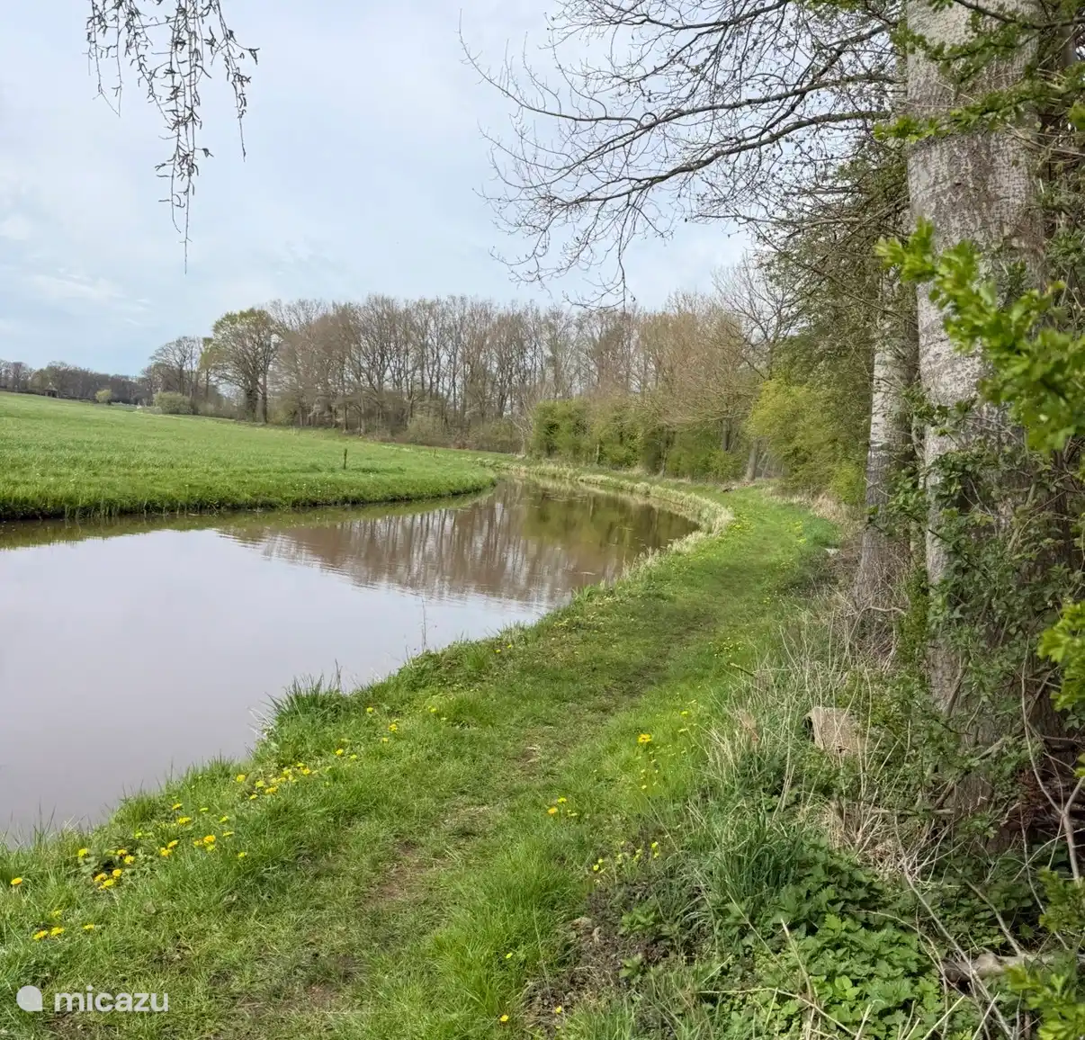 Wandelen langs de beek