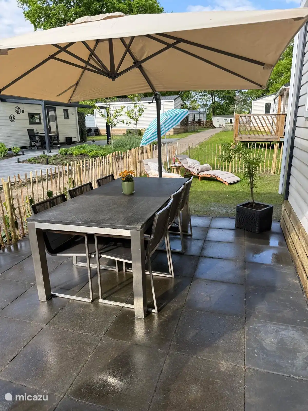 Terras