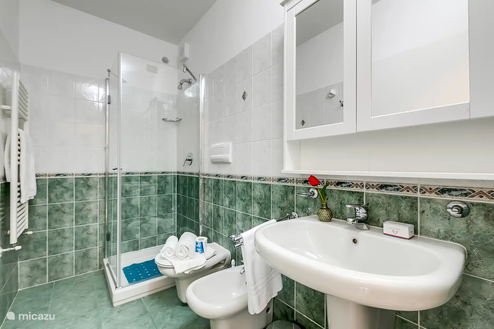 Badkamer met toilet, douche, bidet, en wastafel