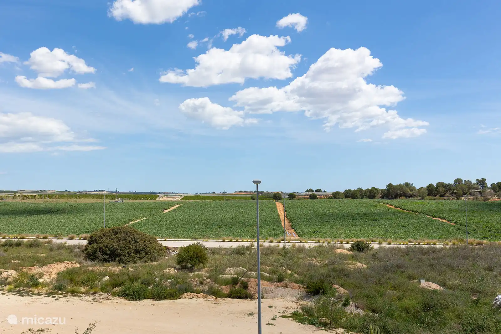 Vista 