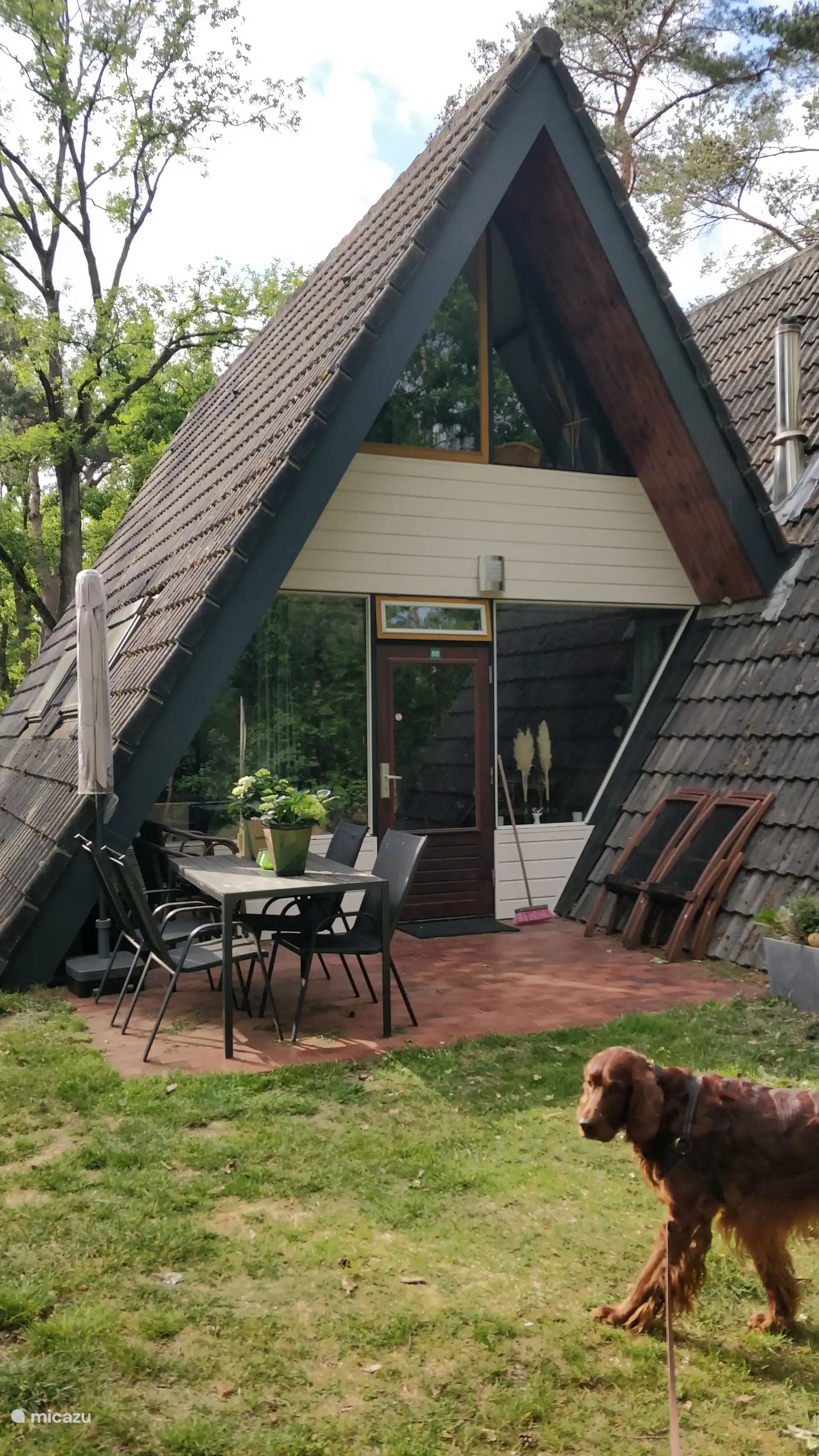 bungaló en Países Bajos, Limburgo, Stramproy – Vosseven 86 Muskuskruid