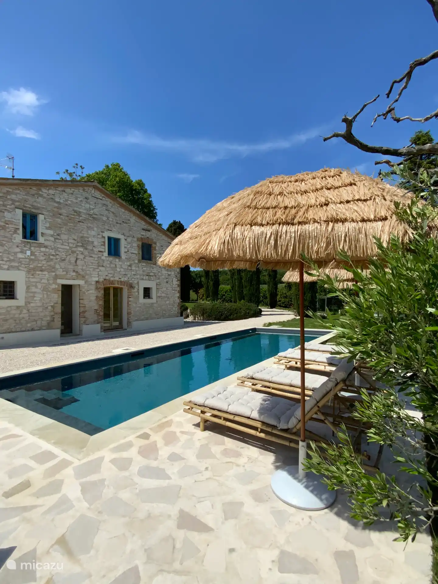 Piscine/terrasse