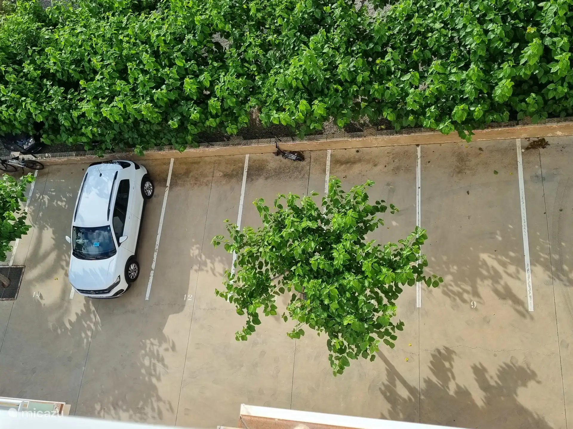 Parkeren