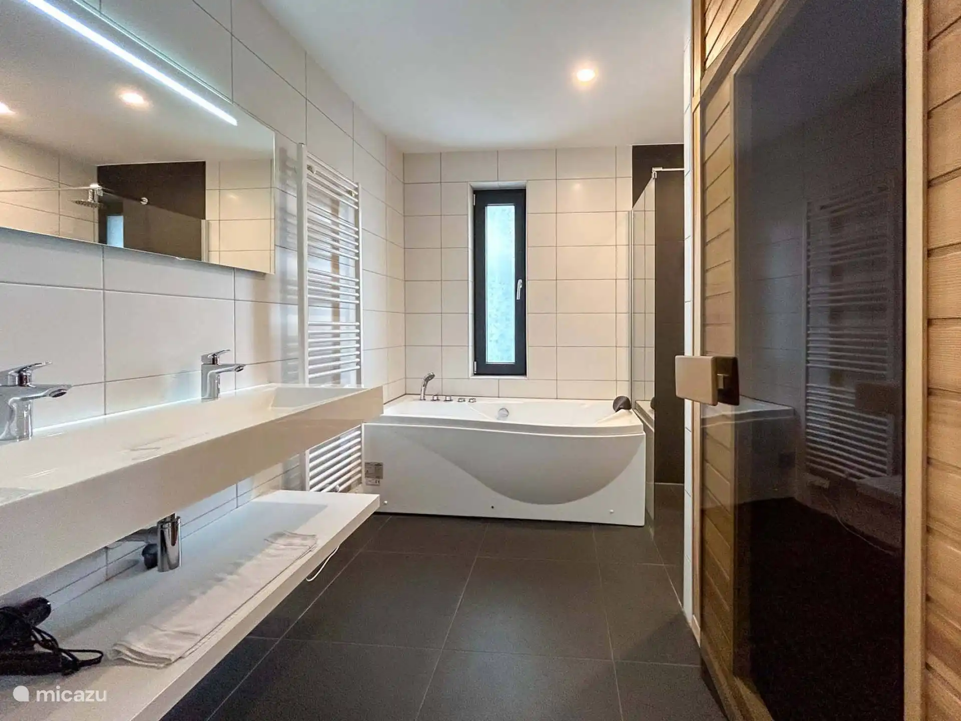 Salle de bain avec sauna dans la villa à Winterberg
