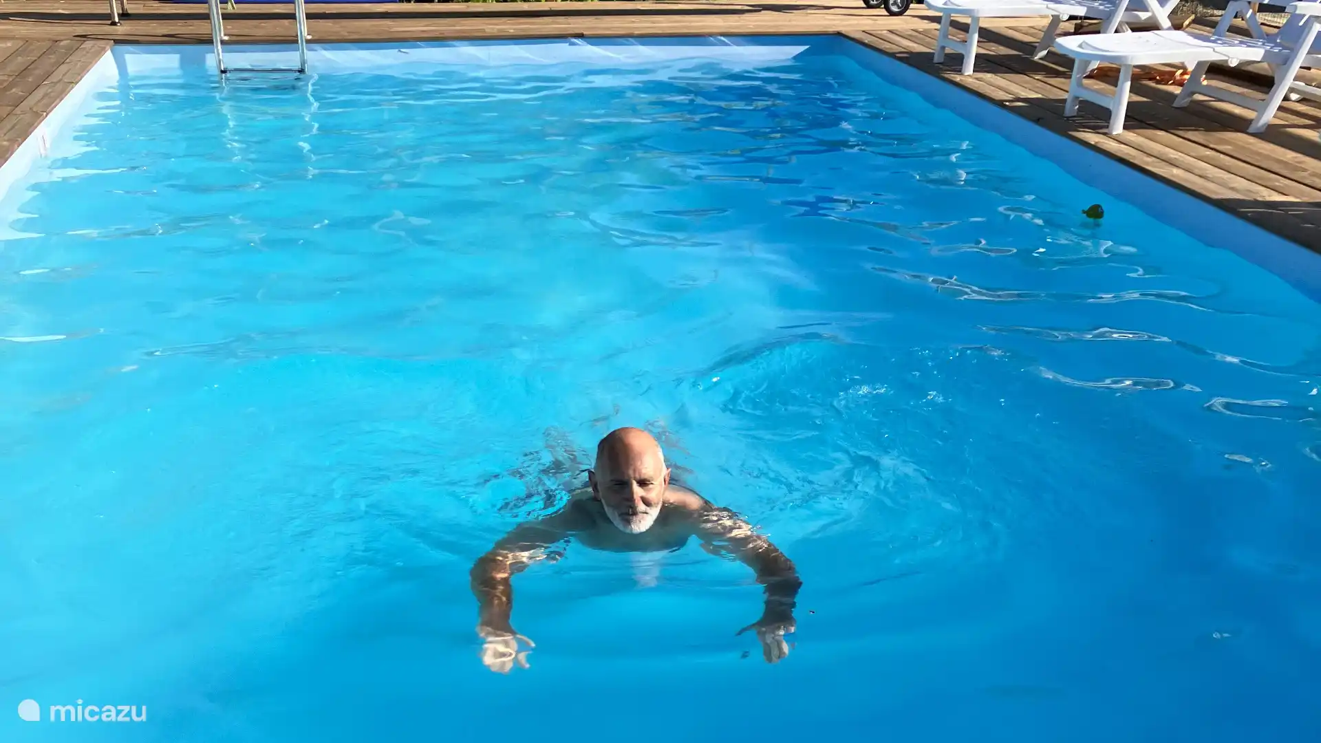 Ein großzügiges 10x5 m großes beheiztes Schwimmbecken, Sonnenliege und Sonnenschirme