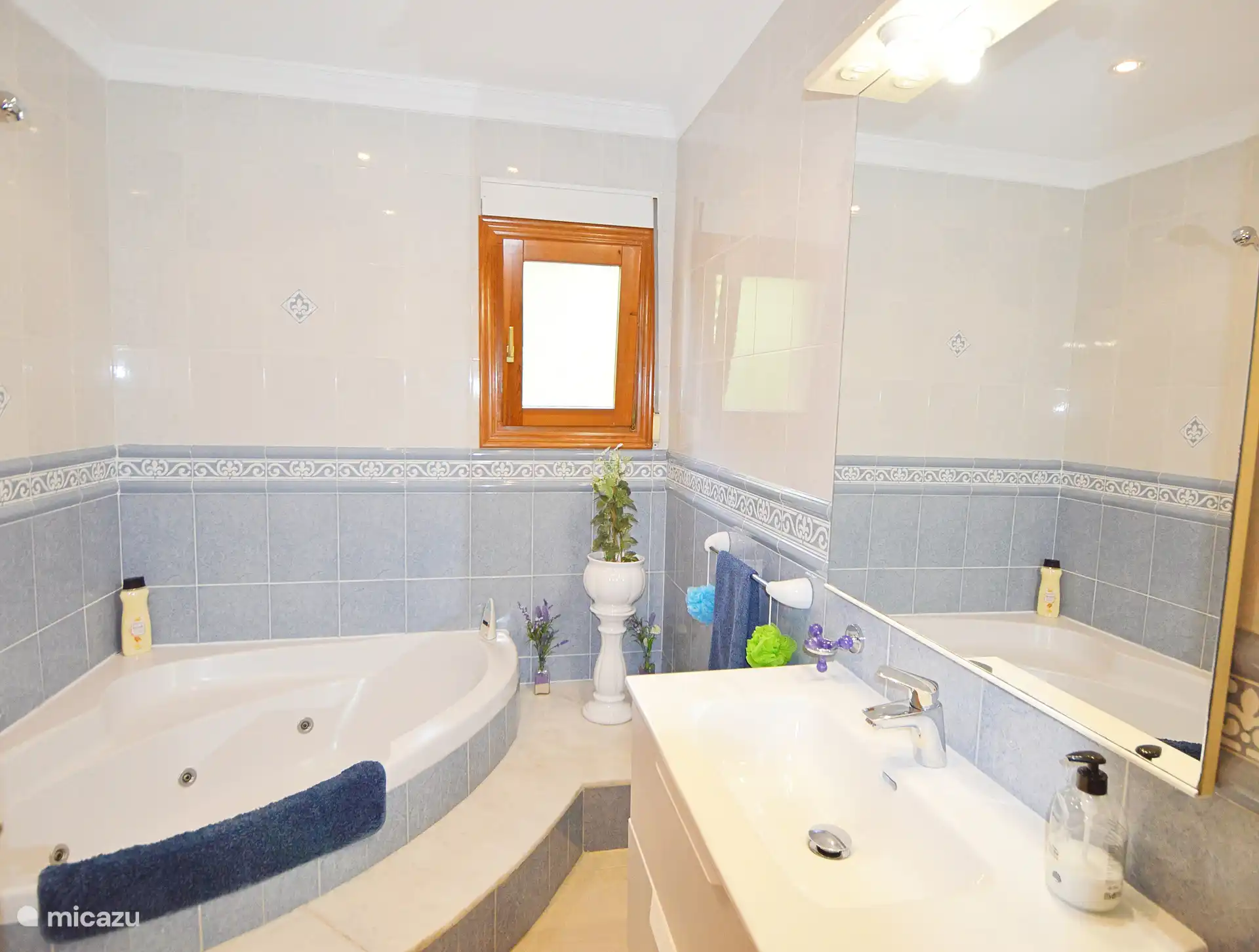 Hoofdbadkamer van het hoofdgebouw met douche en jacuzzi-bad