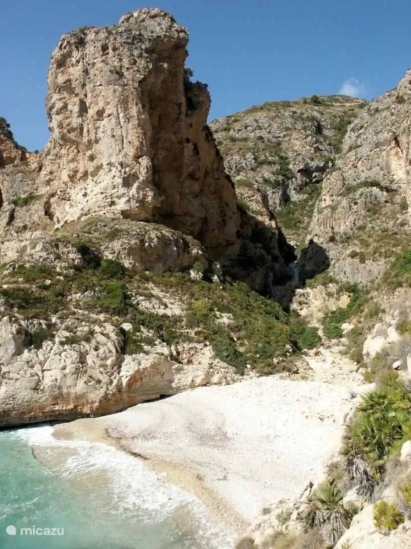 Surroundings