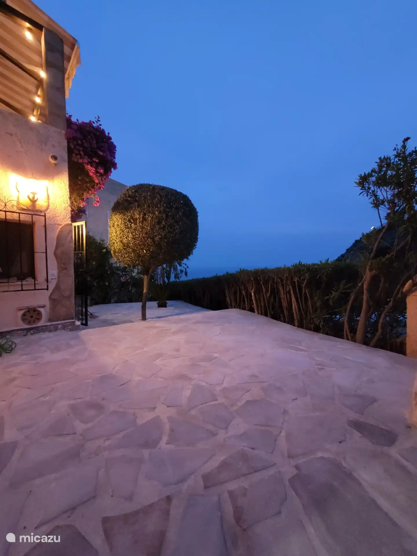 Garden with sea view