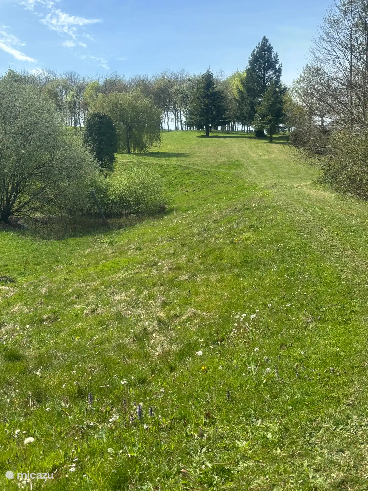 Park within walking distance