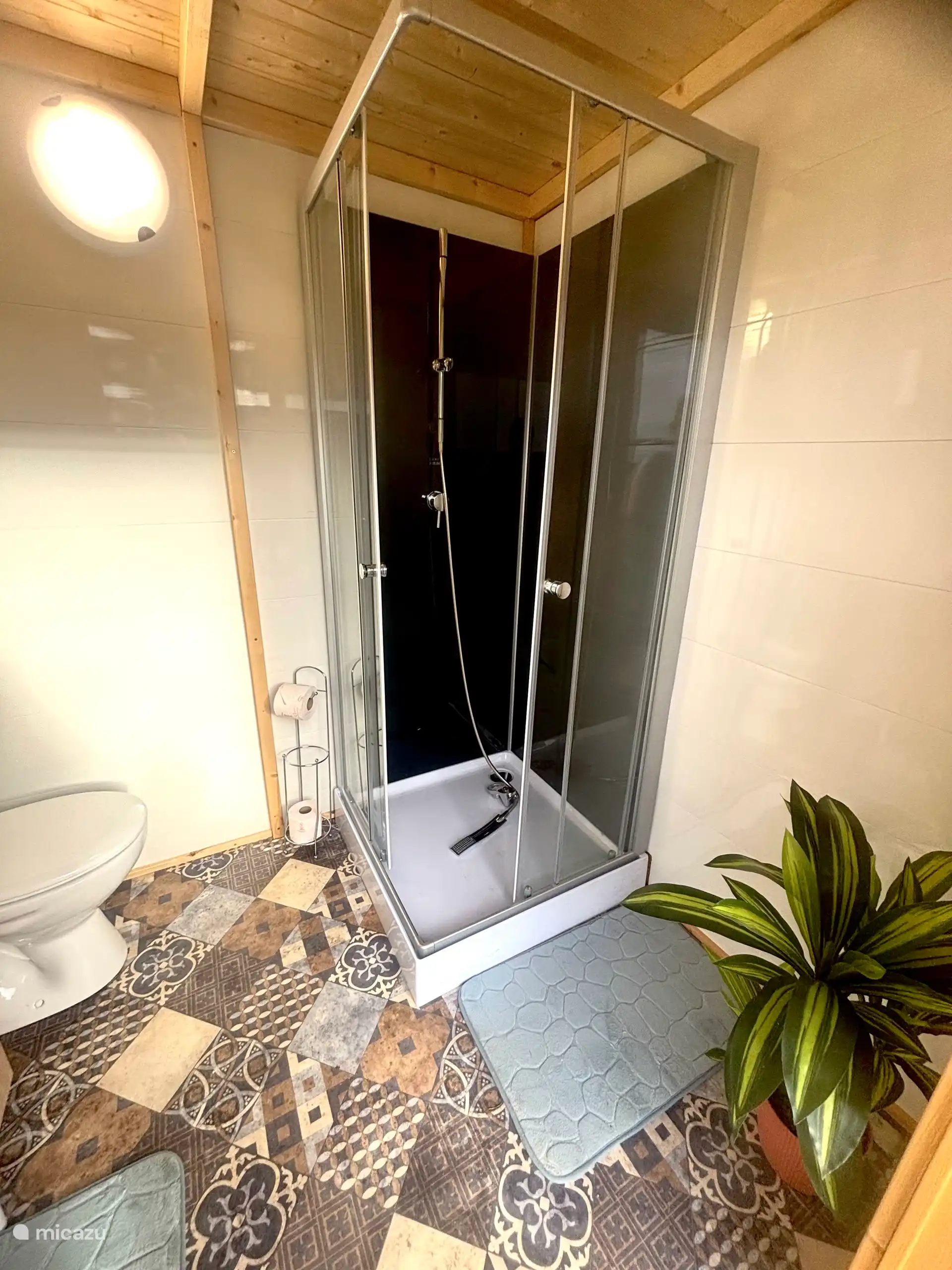 shower