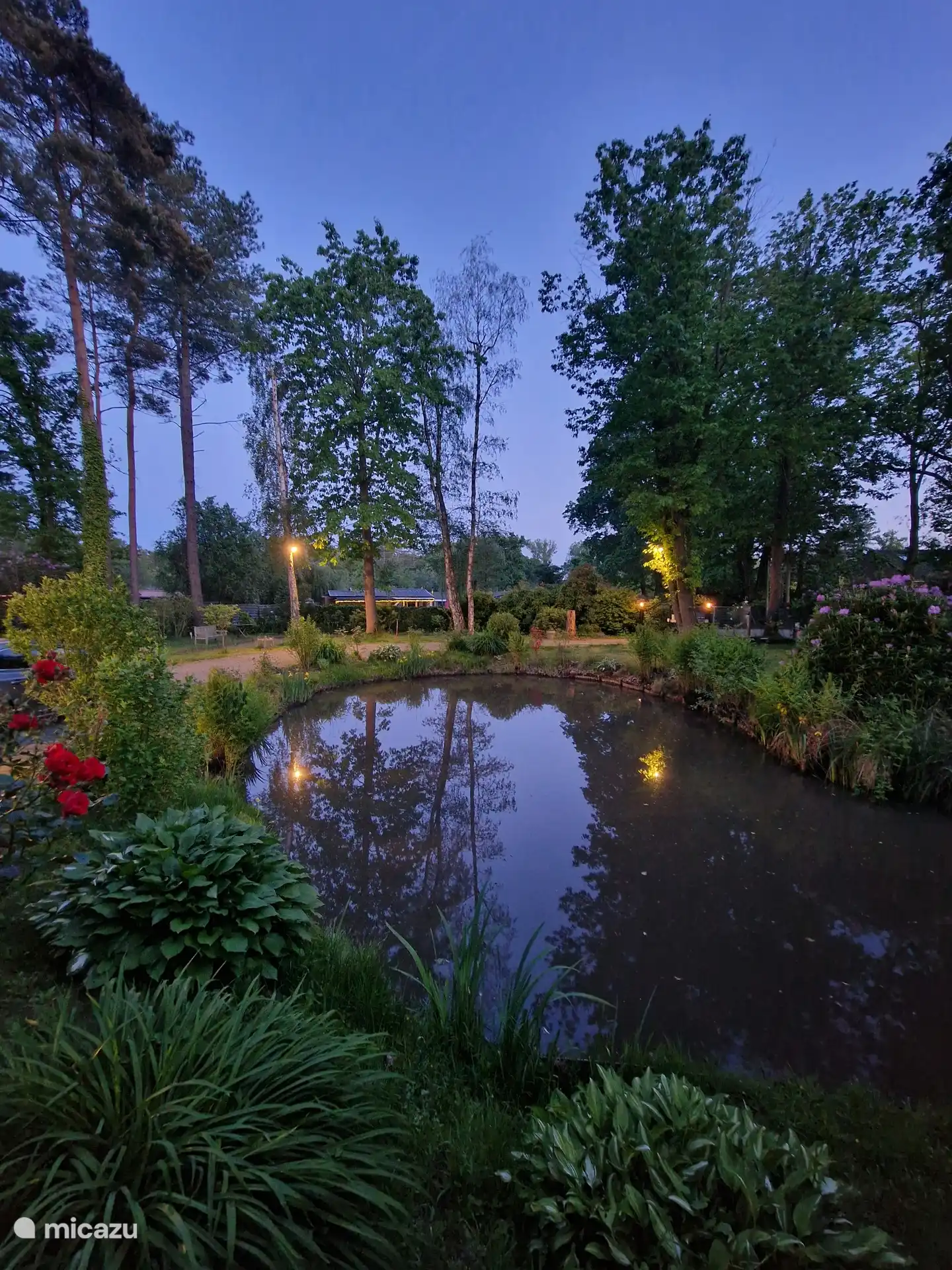 By night