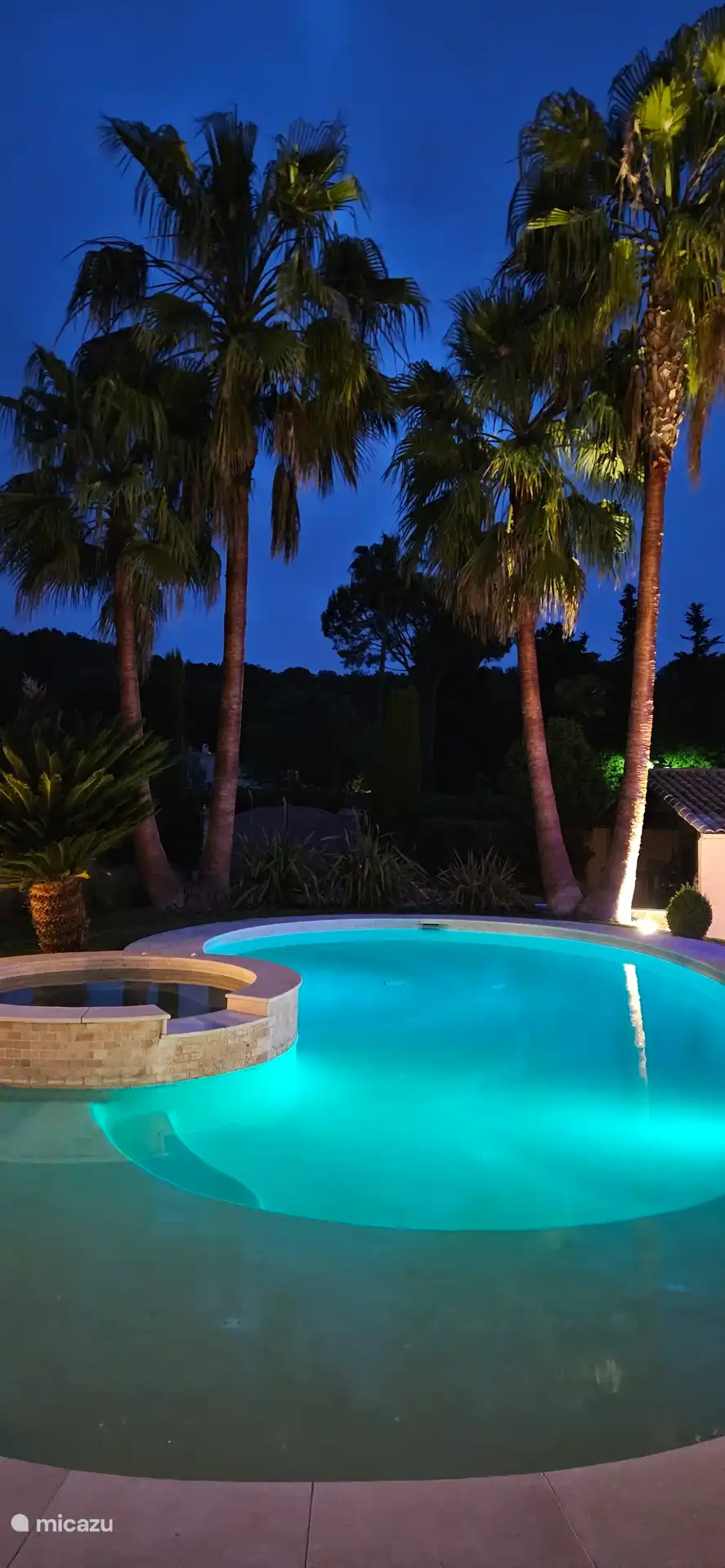 NACHTLEVEN IN VILLA LES PALMIERS