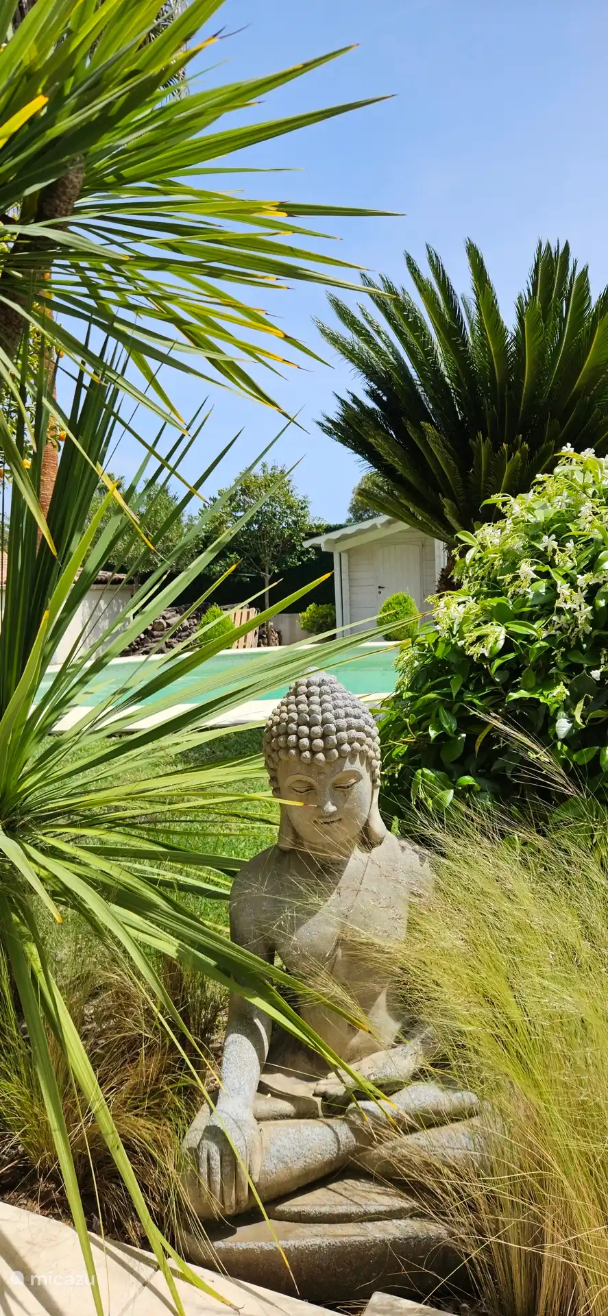 ZEN EN ONTSPANNING!