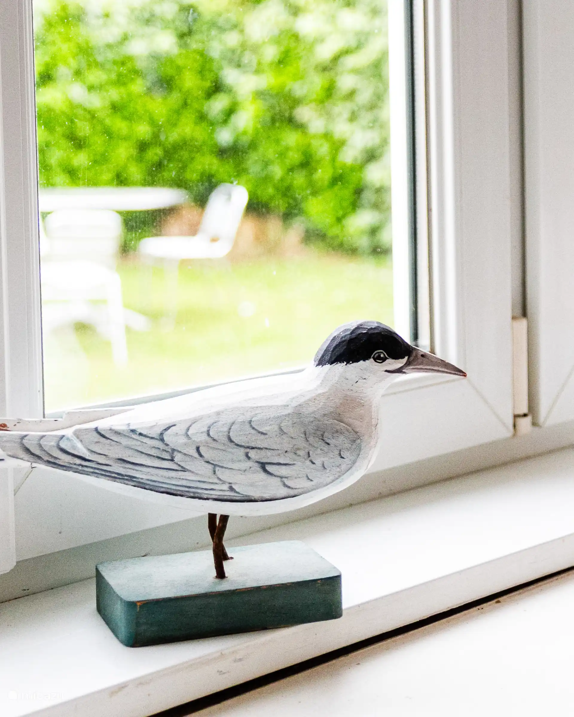 TUIN