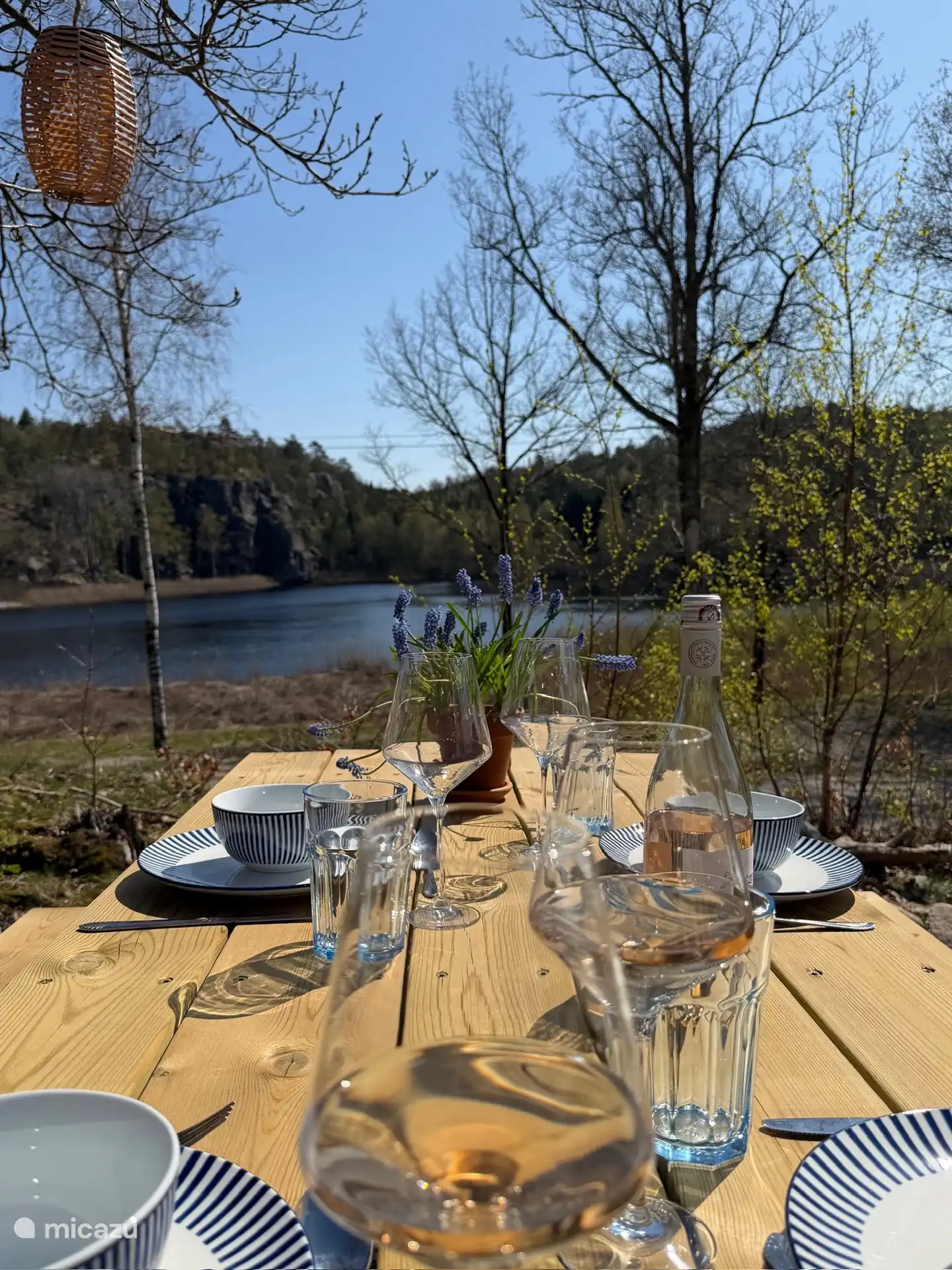 Délicieux déjeuner à la table de pique-avec vue sur le lac ! 