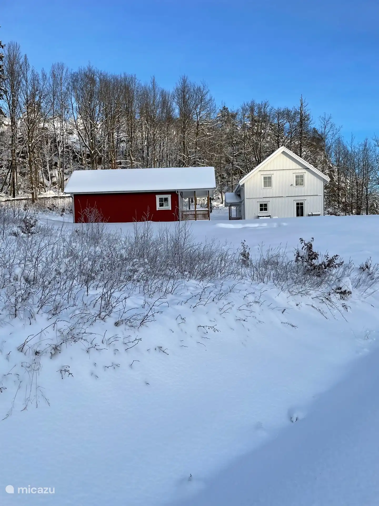 Pays des merveilles hivernal 