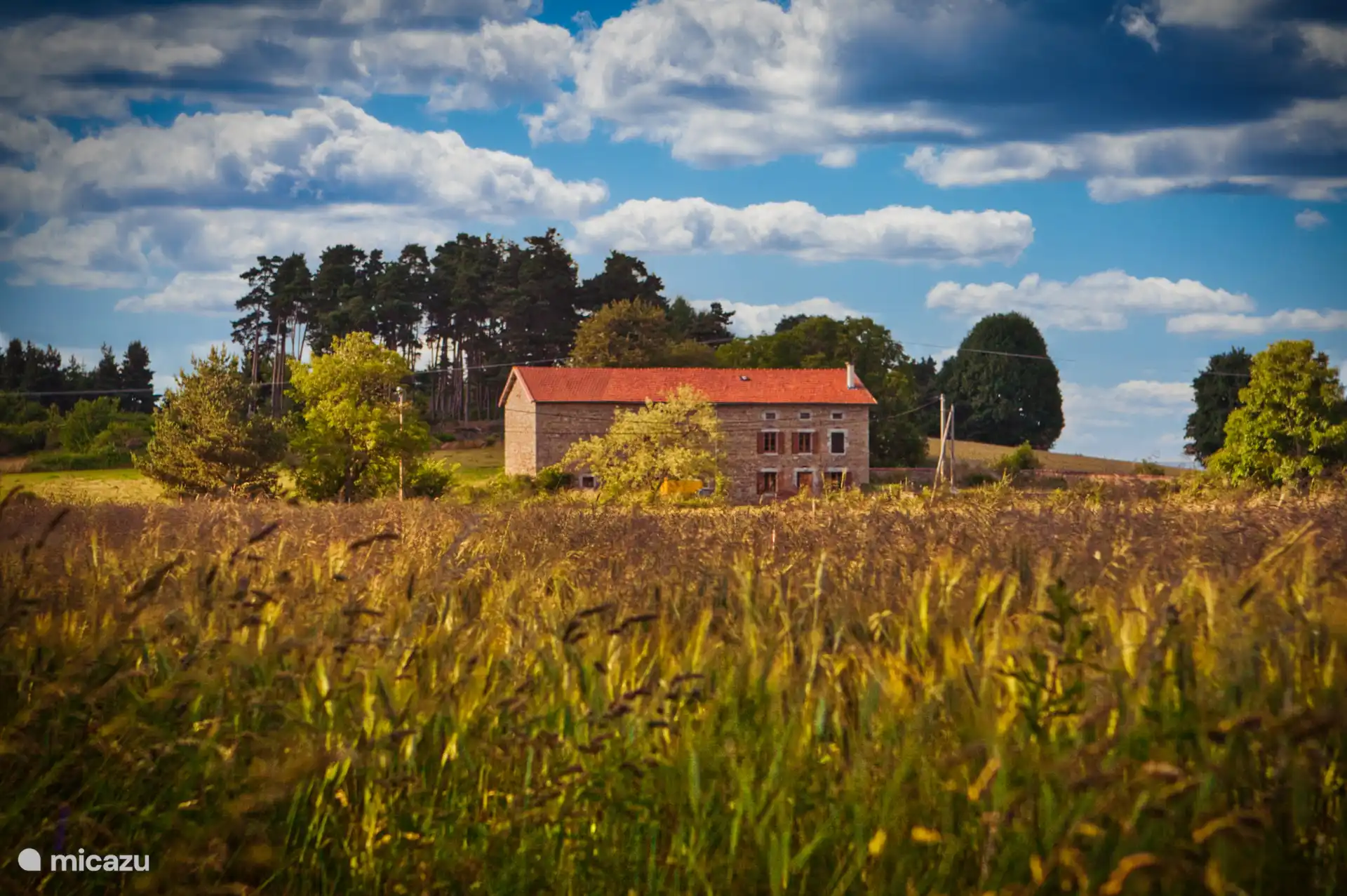 Overzicht van het huis en de tuinen