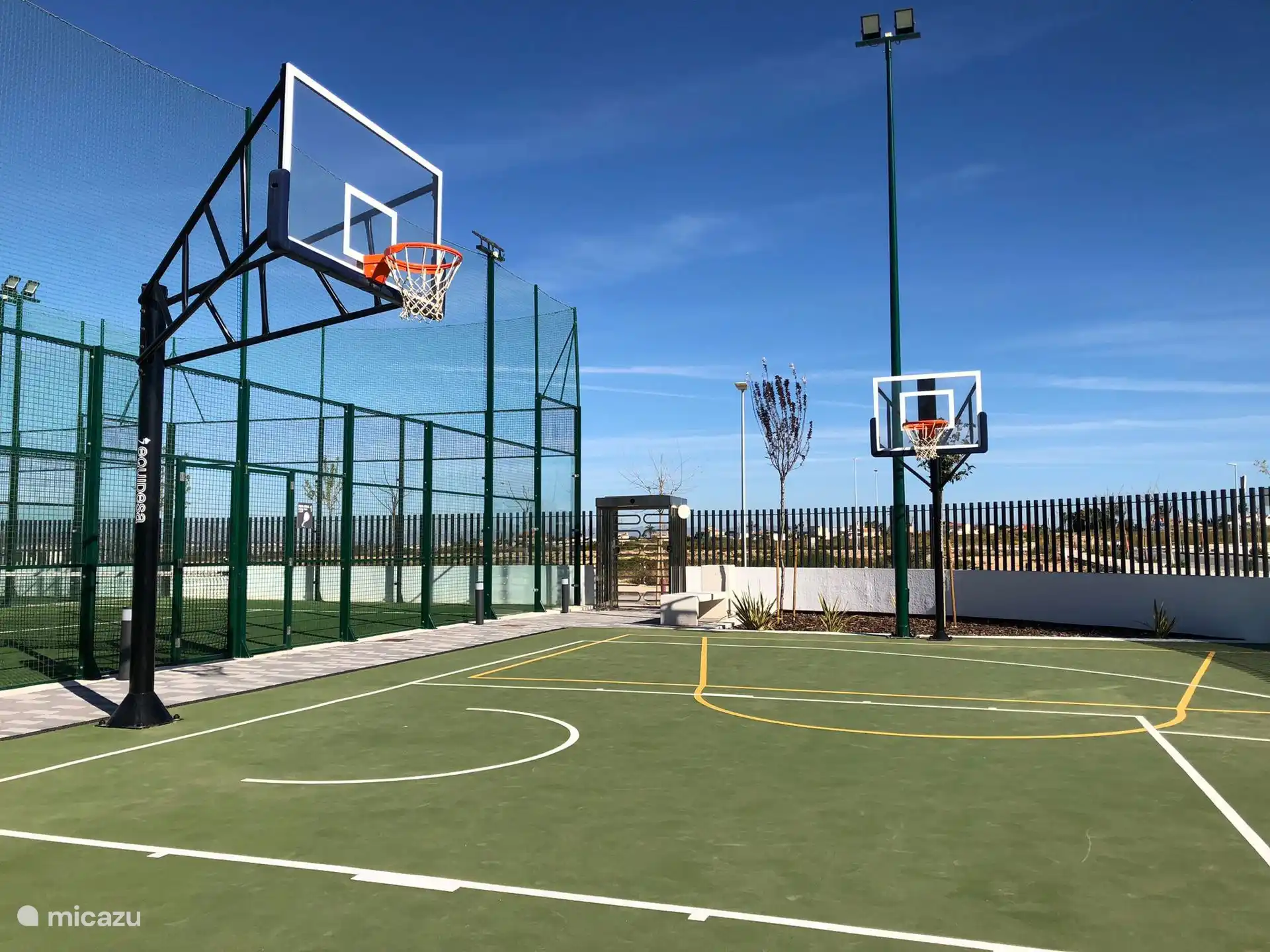 Baloncesto