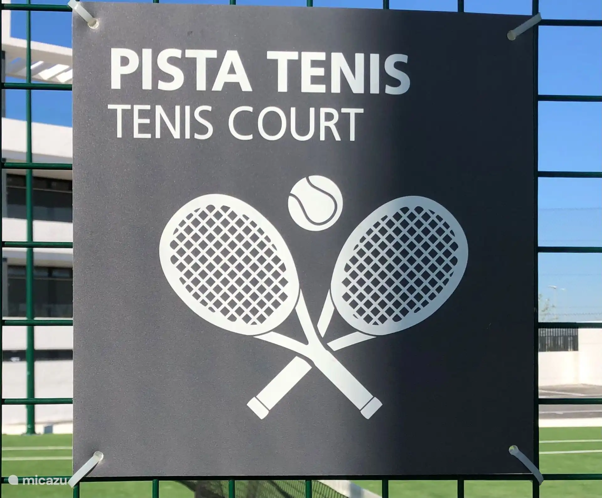 Tenis