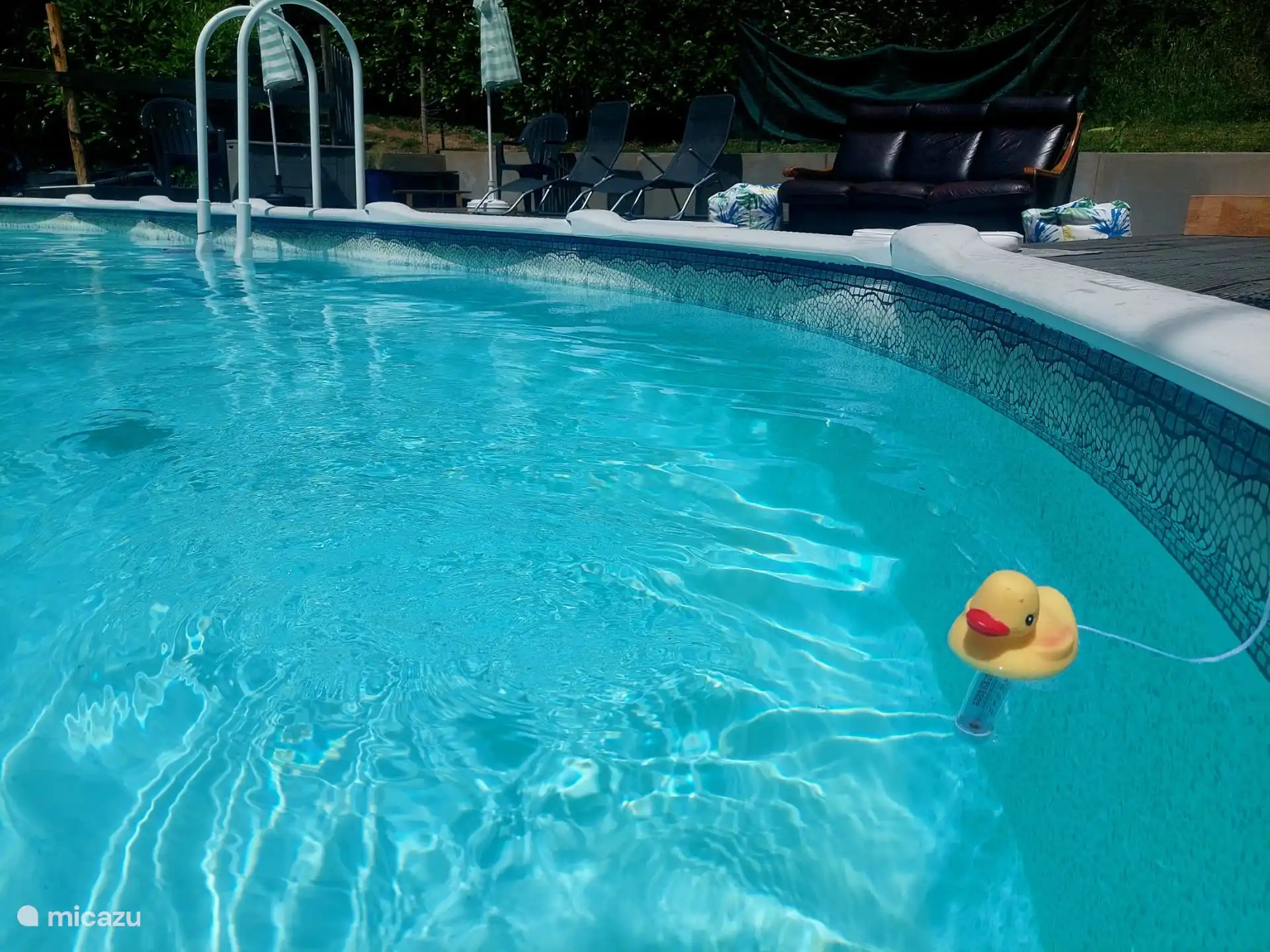 Our rubber duck ??