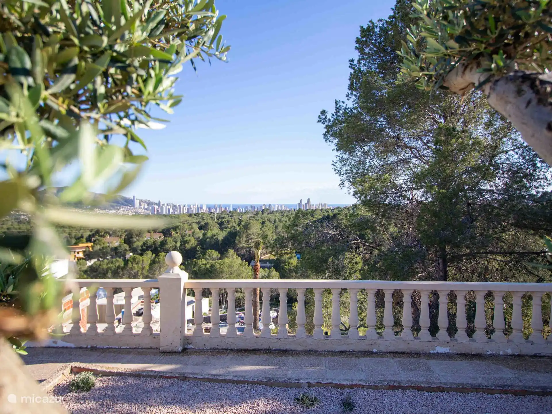 Villa Muchavista - panoramic view between the branches of the olive tree
