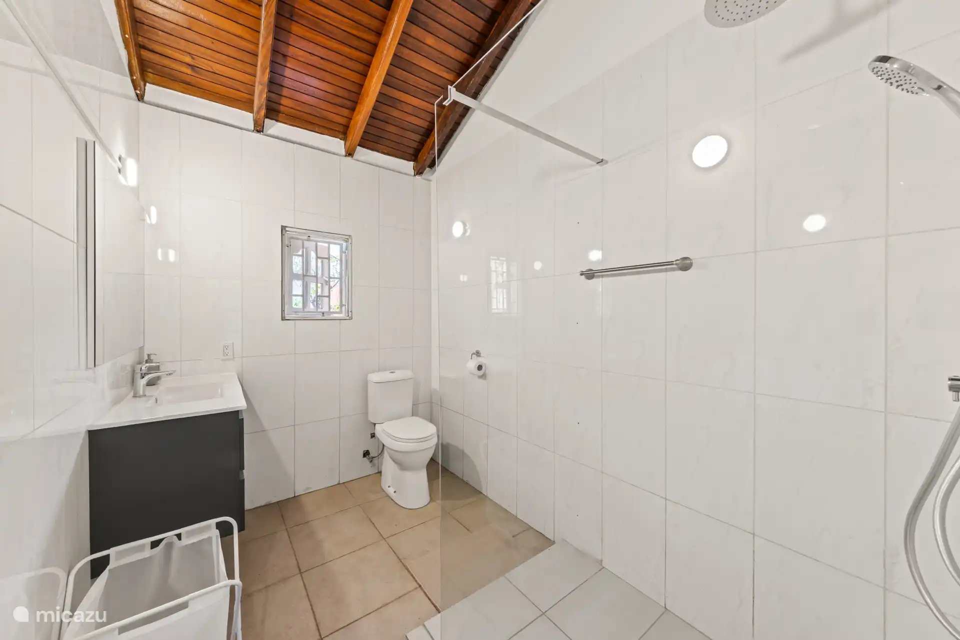 Salle de bain avec douche et lavabo.