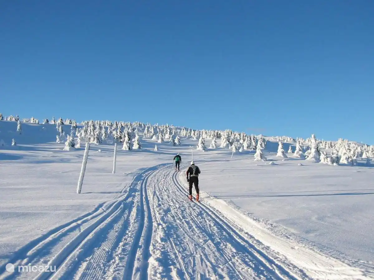 Cross-country skiing is possible on the plateau at the top of the mountain. Many km towards Susjoen, one of the largest lauglauf areas in Norway