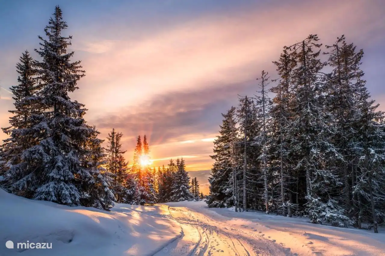 Beautiful surroundings with many forests and views