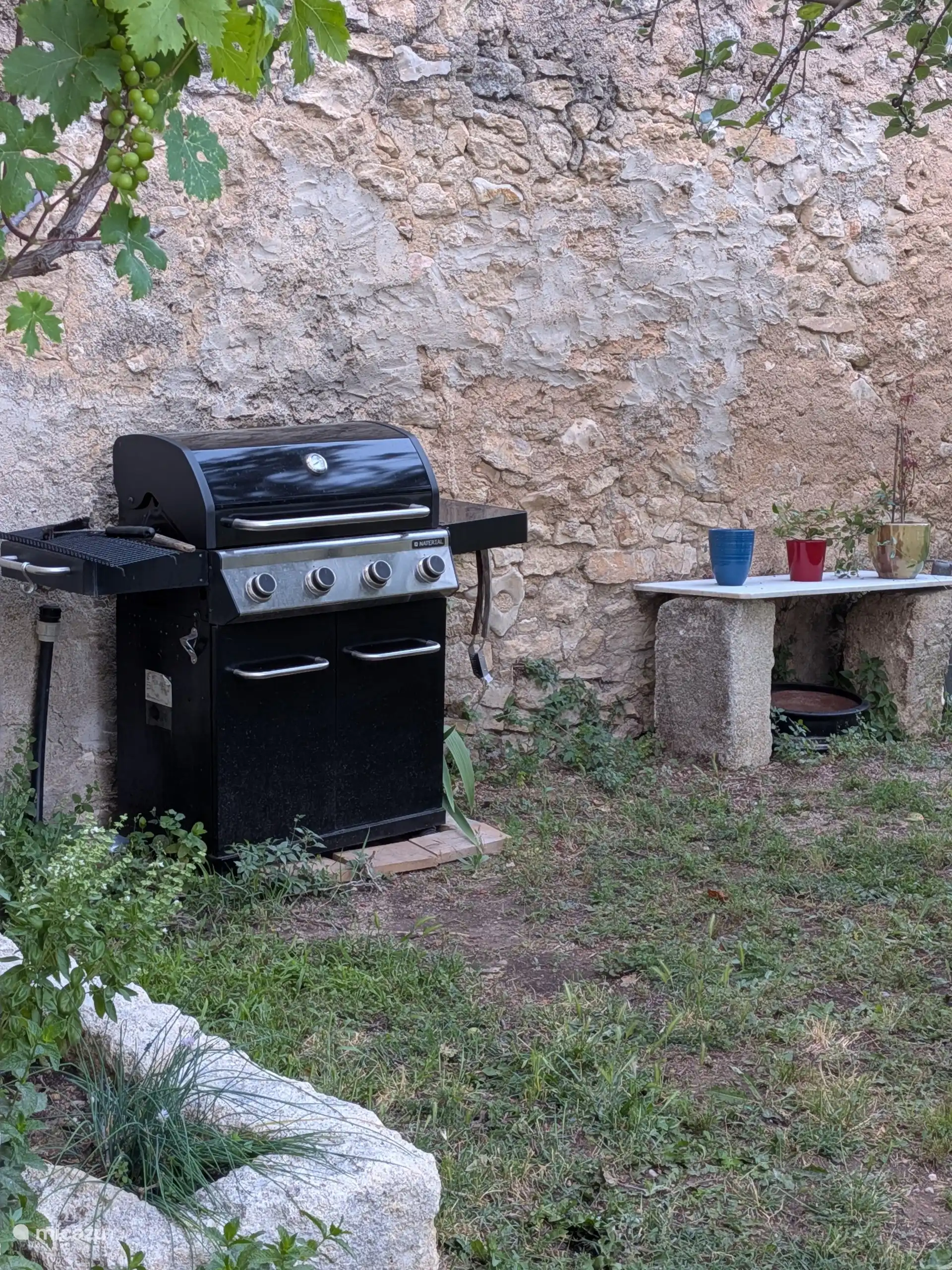 Coin Barbecue