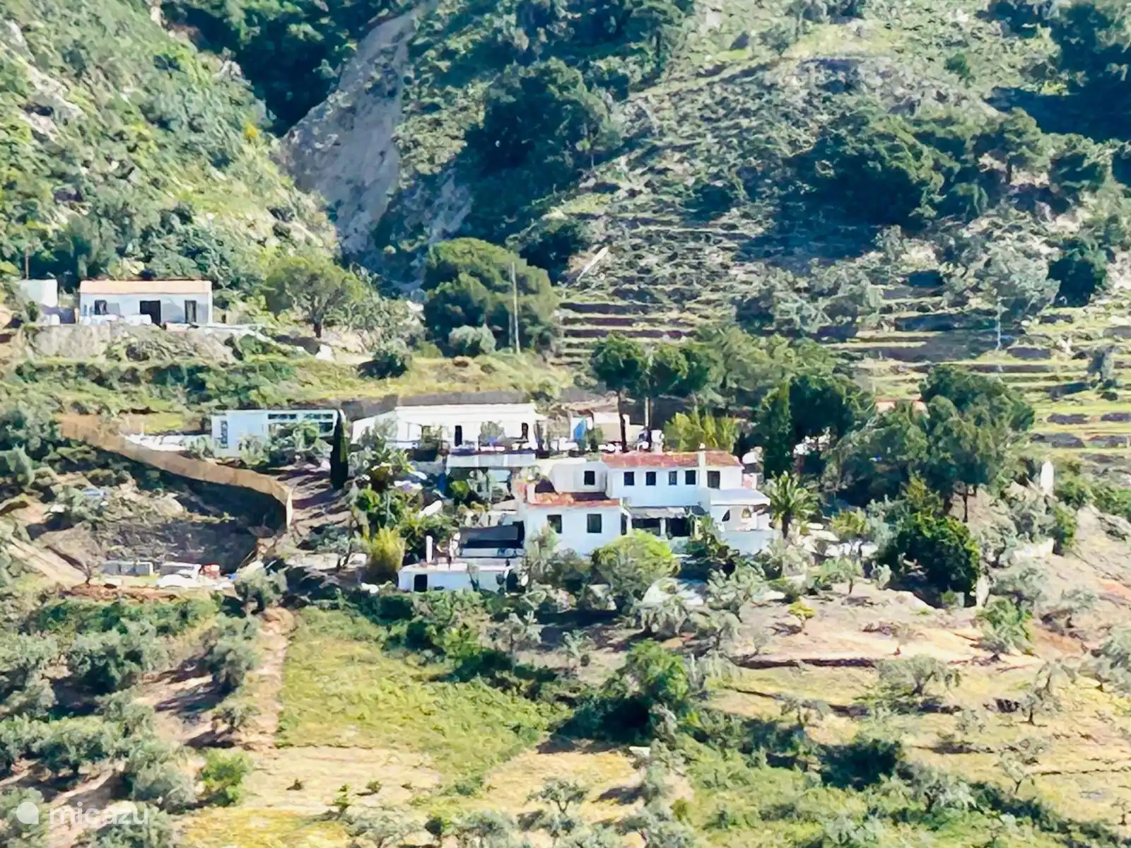 Overview