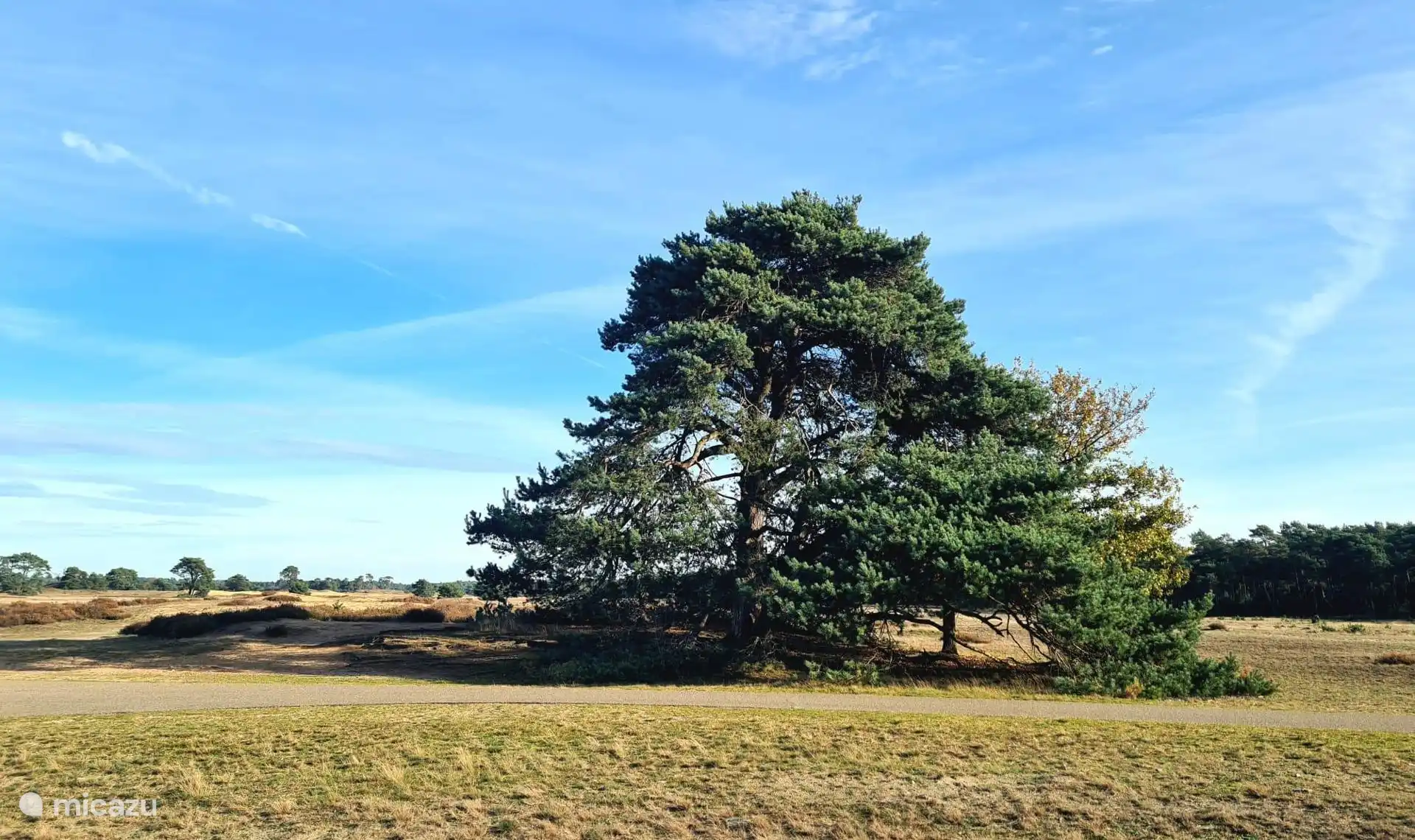 Nationaal Park De Hoge Veluwe