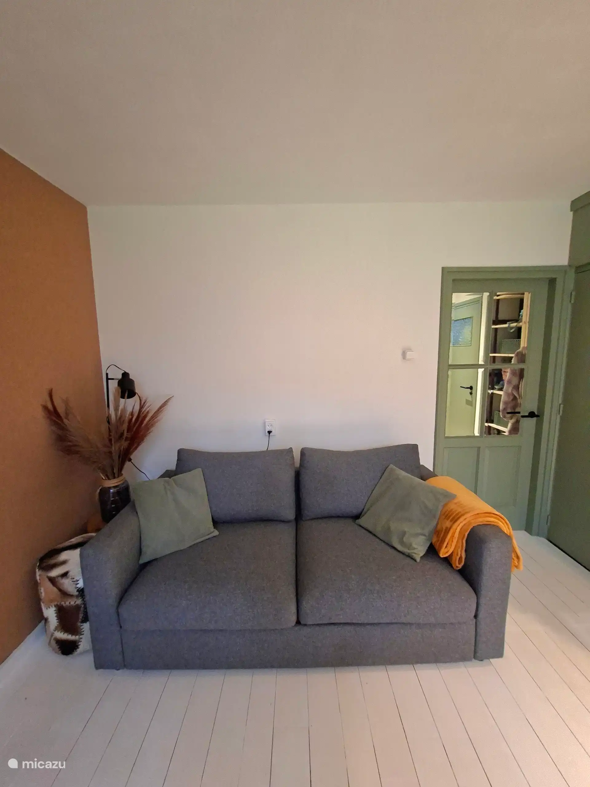 Wohnzimmer mit Schlafsofa