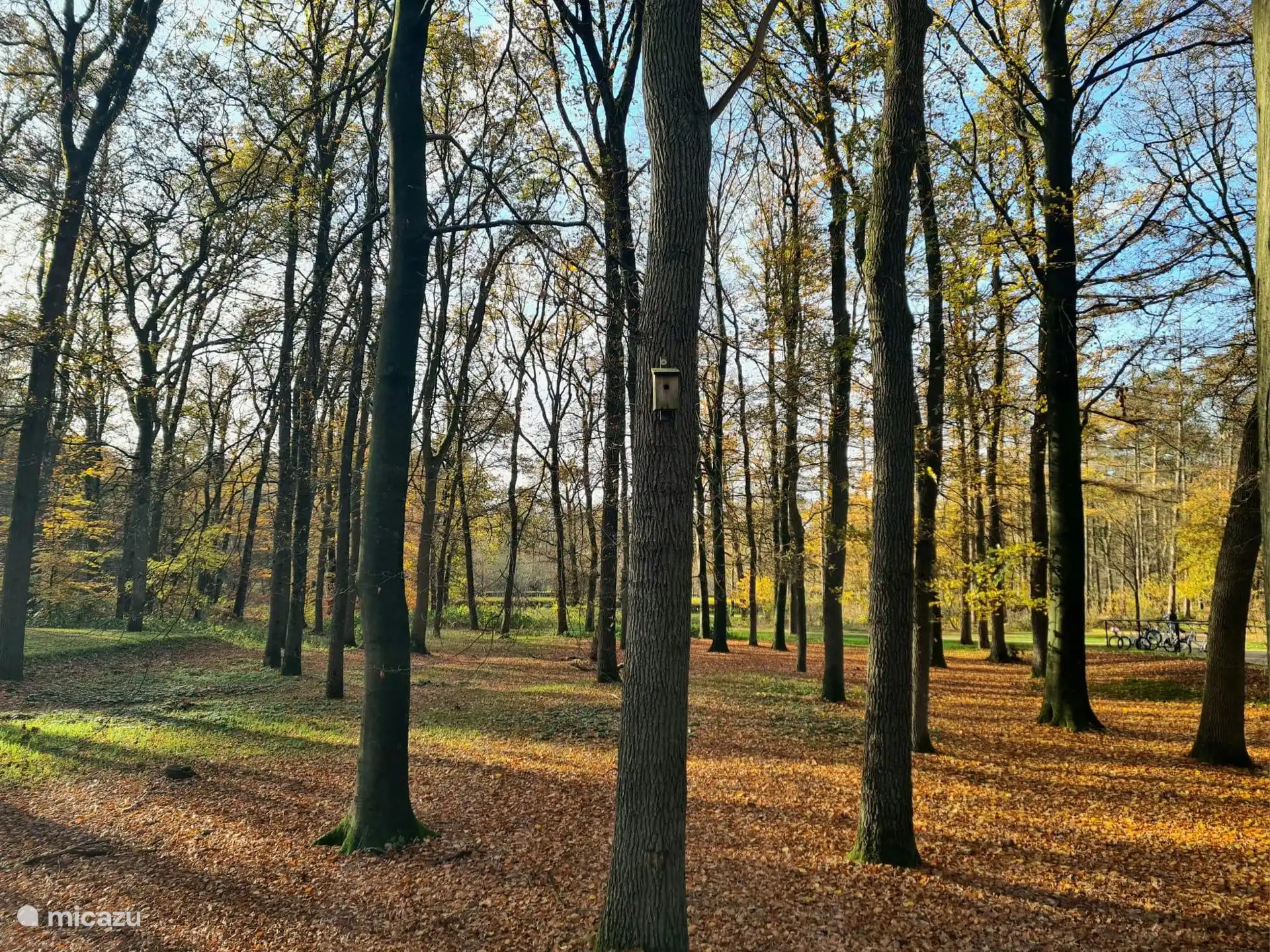 Veluwe