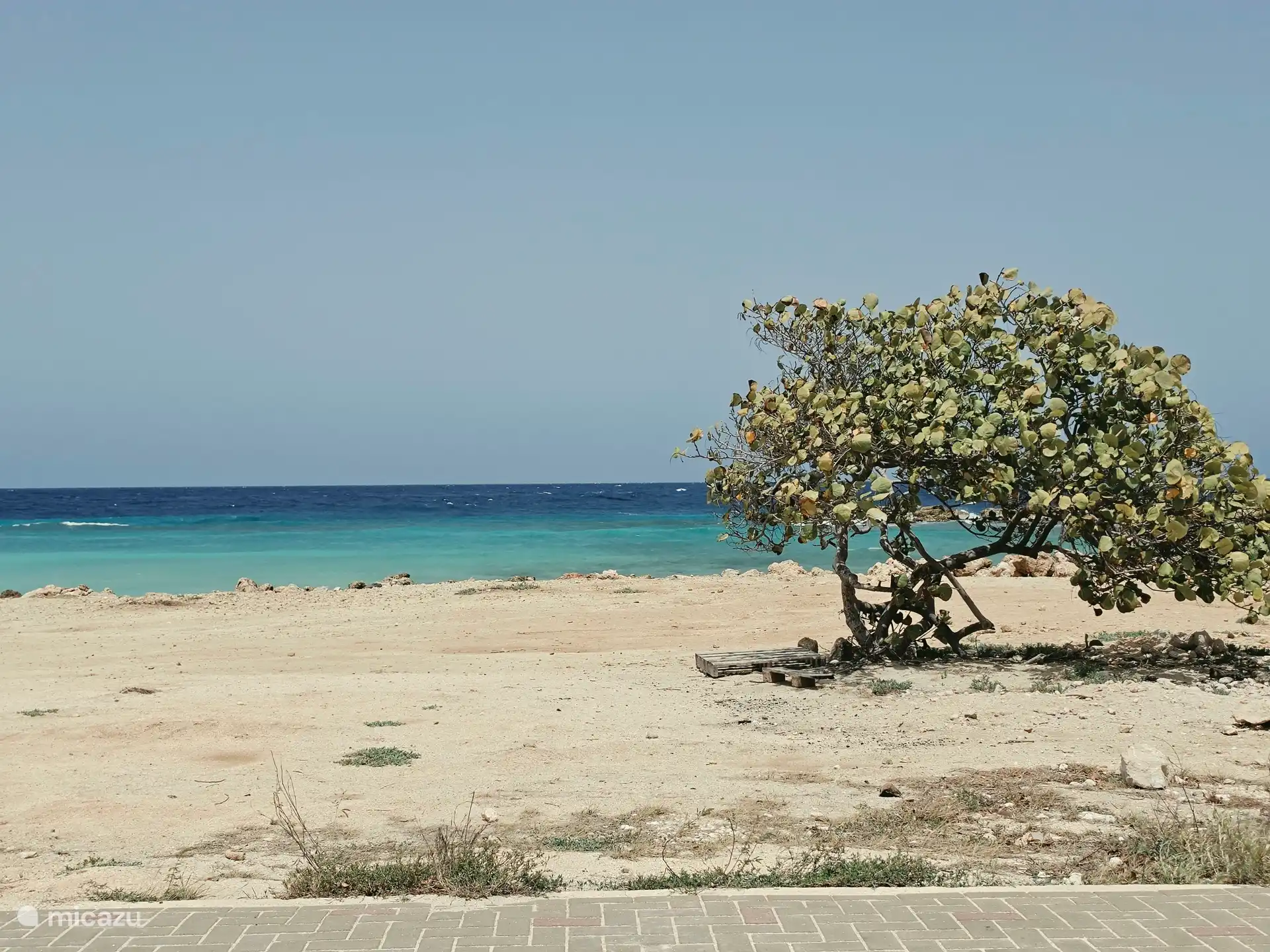 strand op 5 minuten wandelen