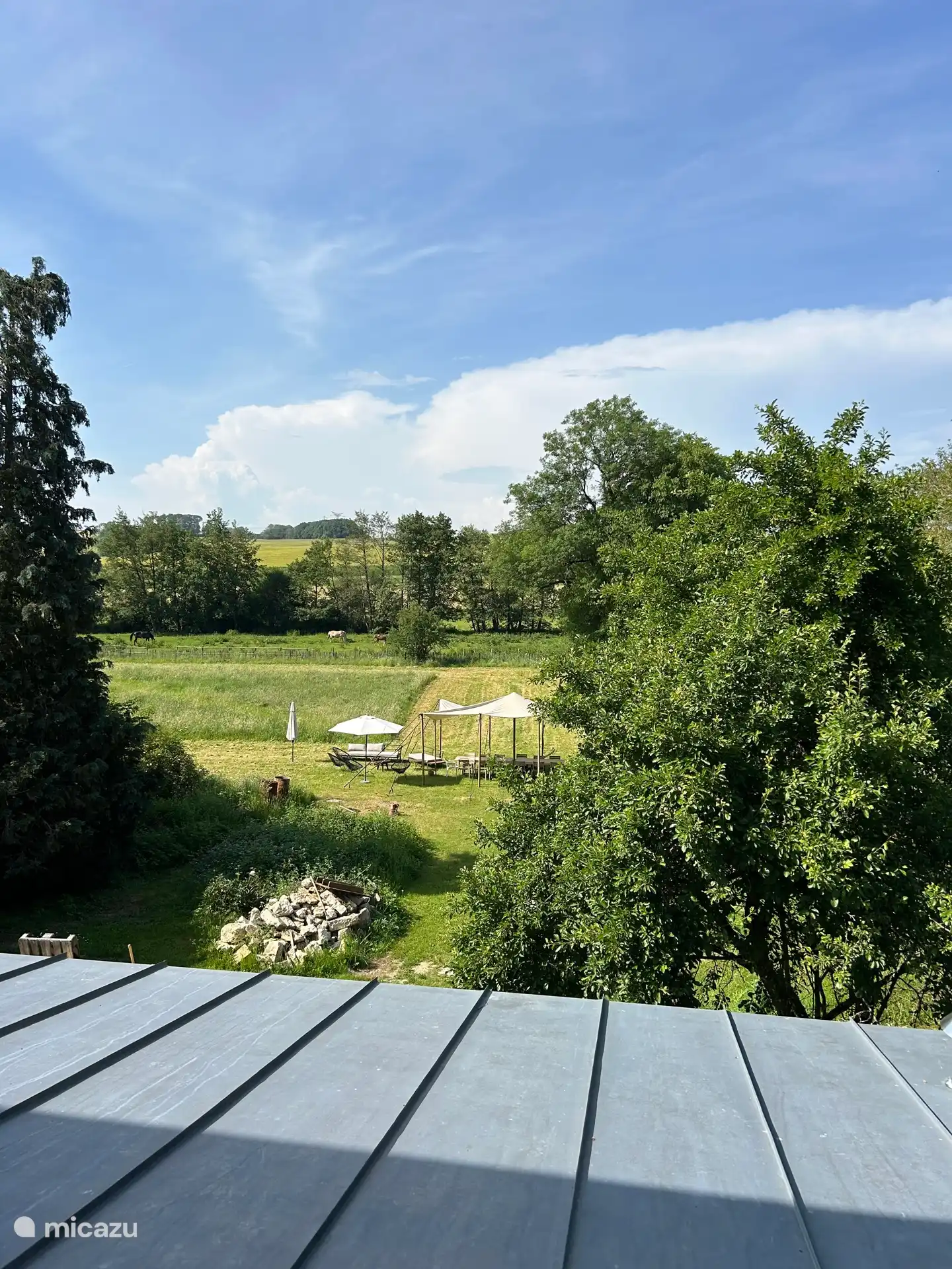 Achterzijde