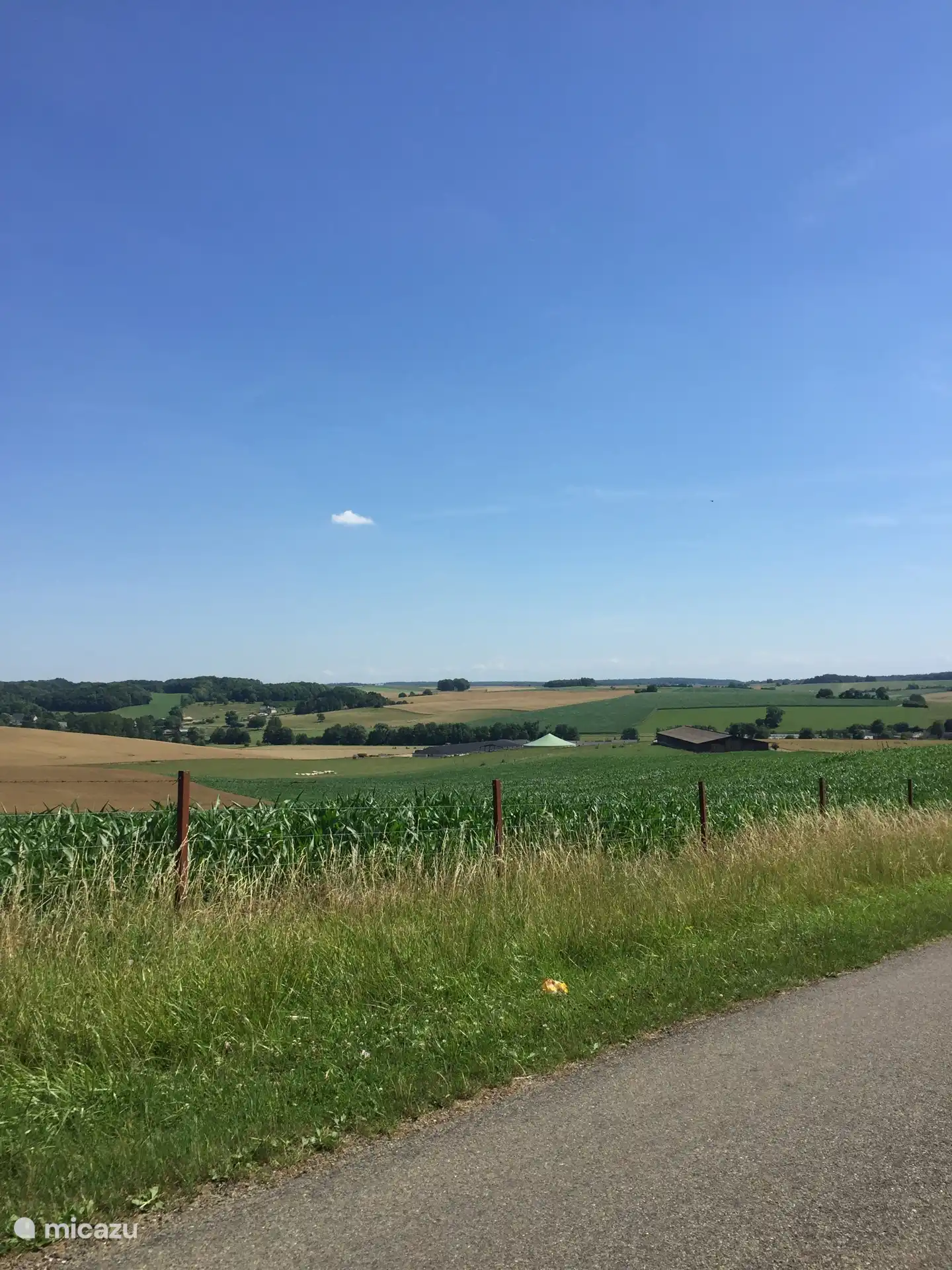 omgeving
