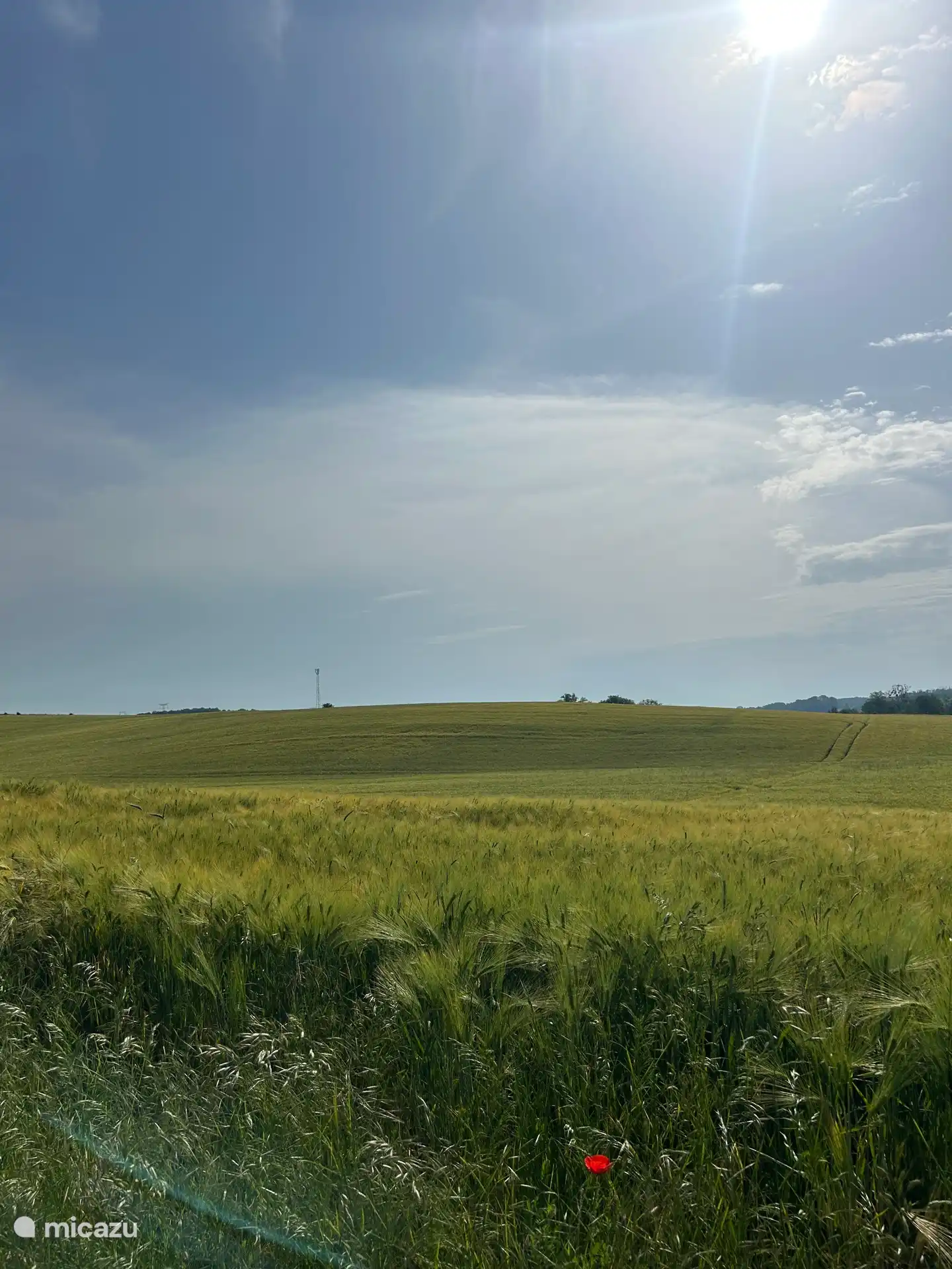 Omgeving