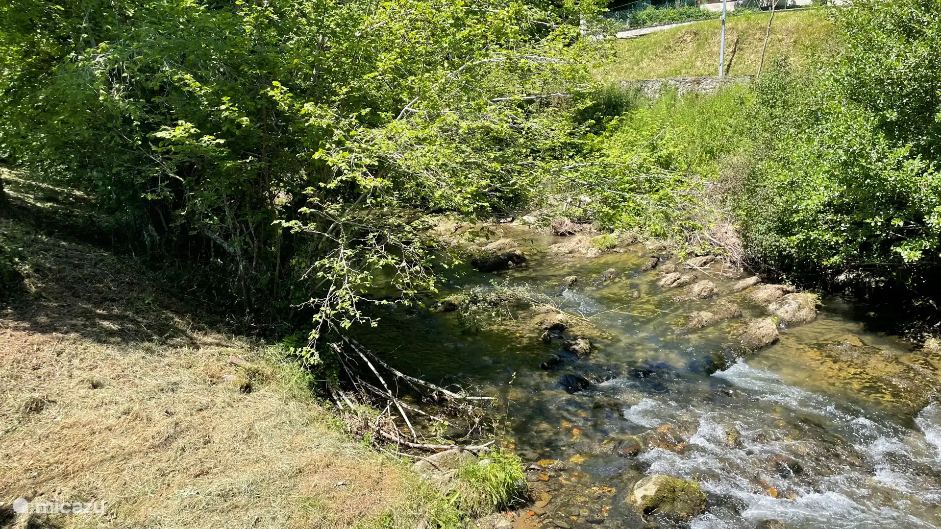 Brook